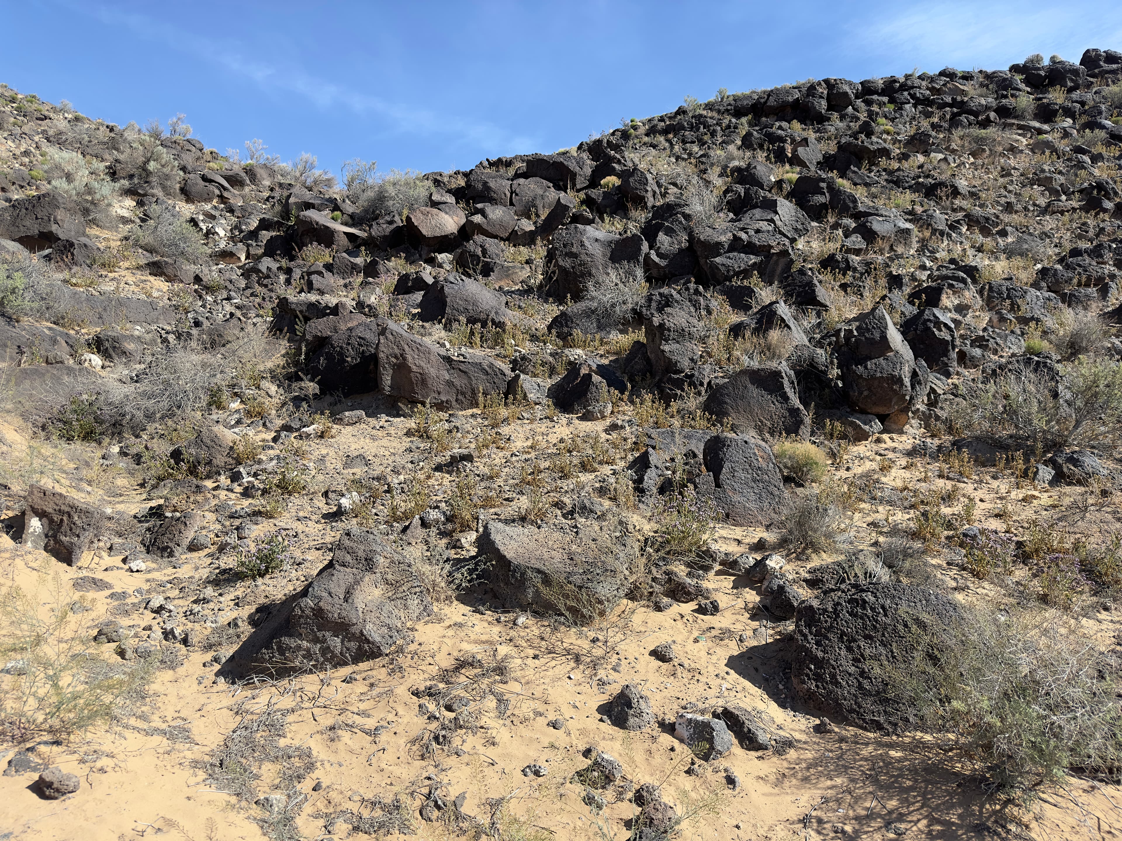 Piedras Marcadas Canyon Petroglyph Viewing Trail Stop 2