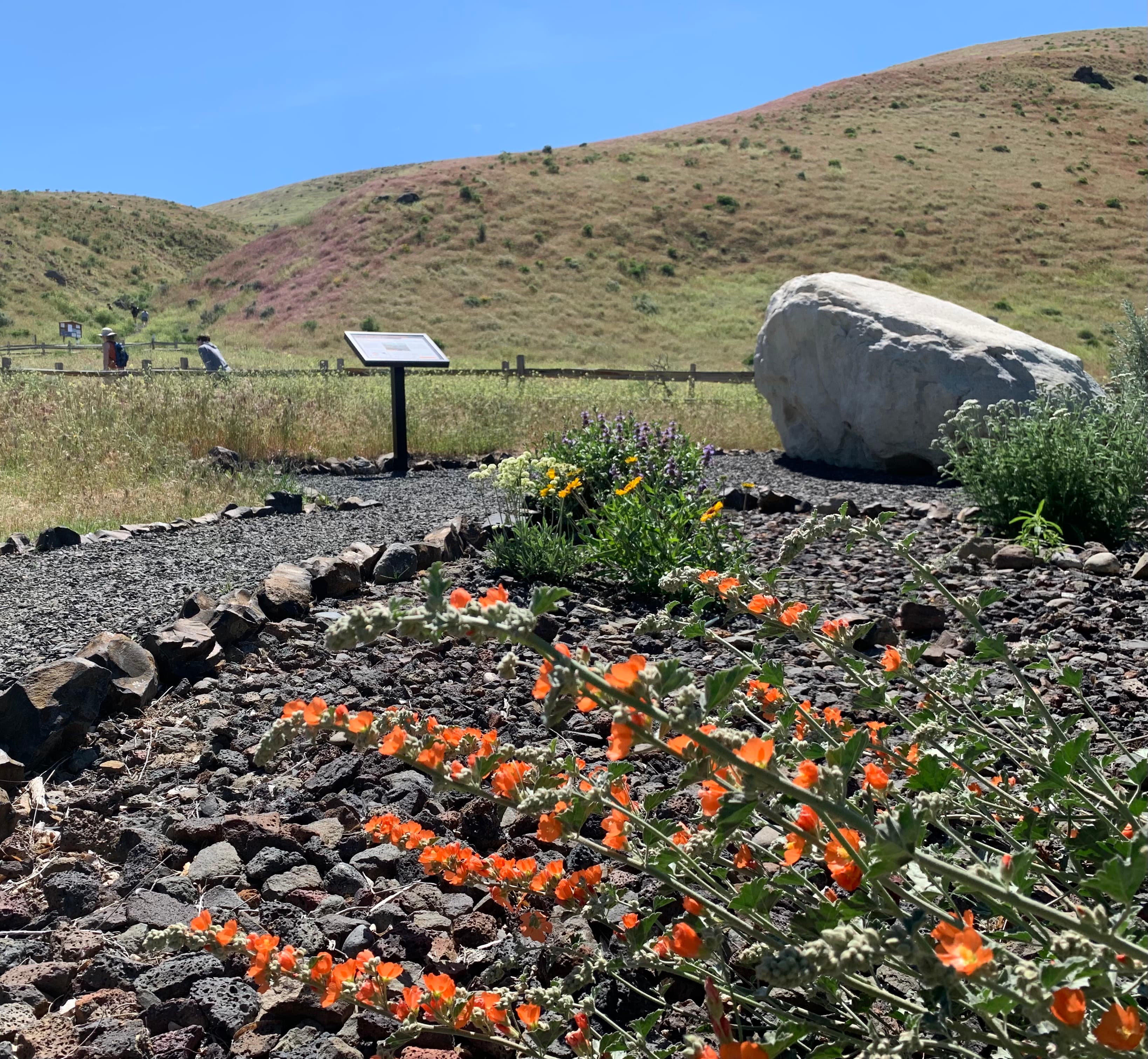 Badger Mountain Trail Head