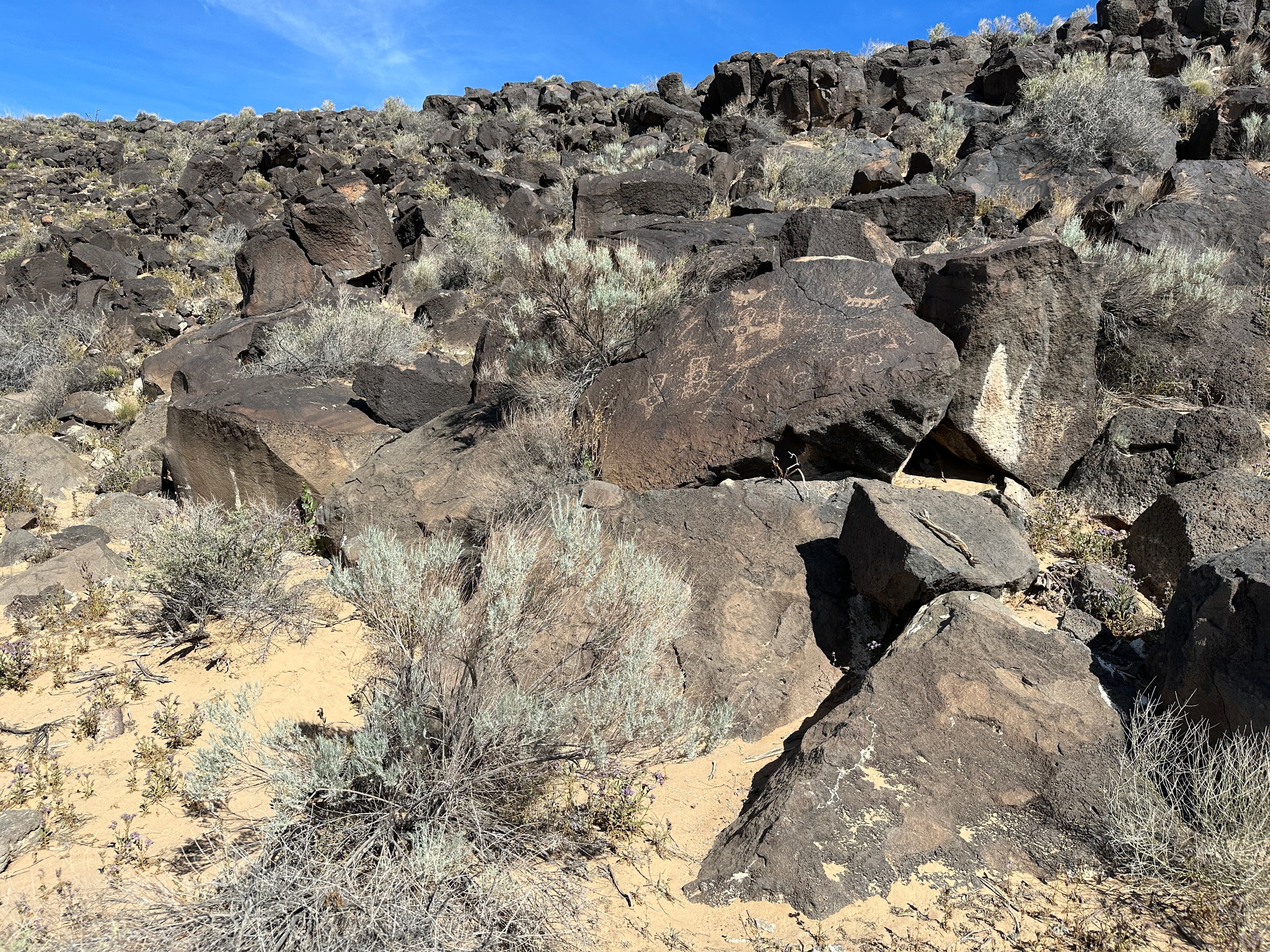 Piedras Marcadas Canyon Petroglyph Viewing Trail Stop 3