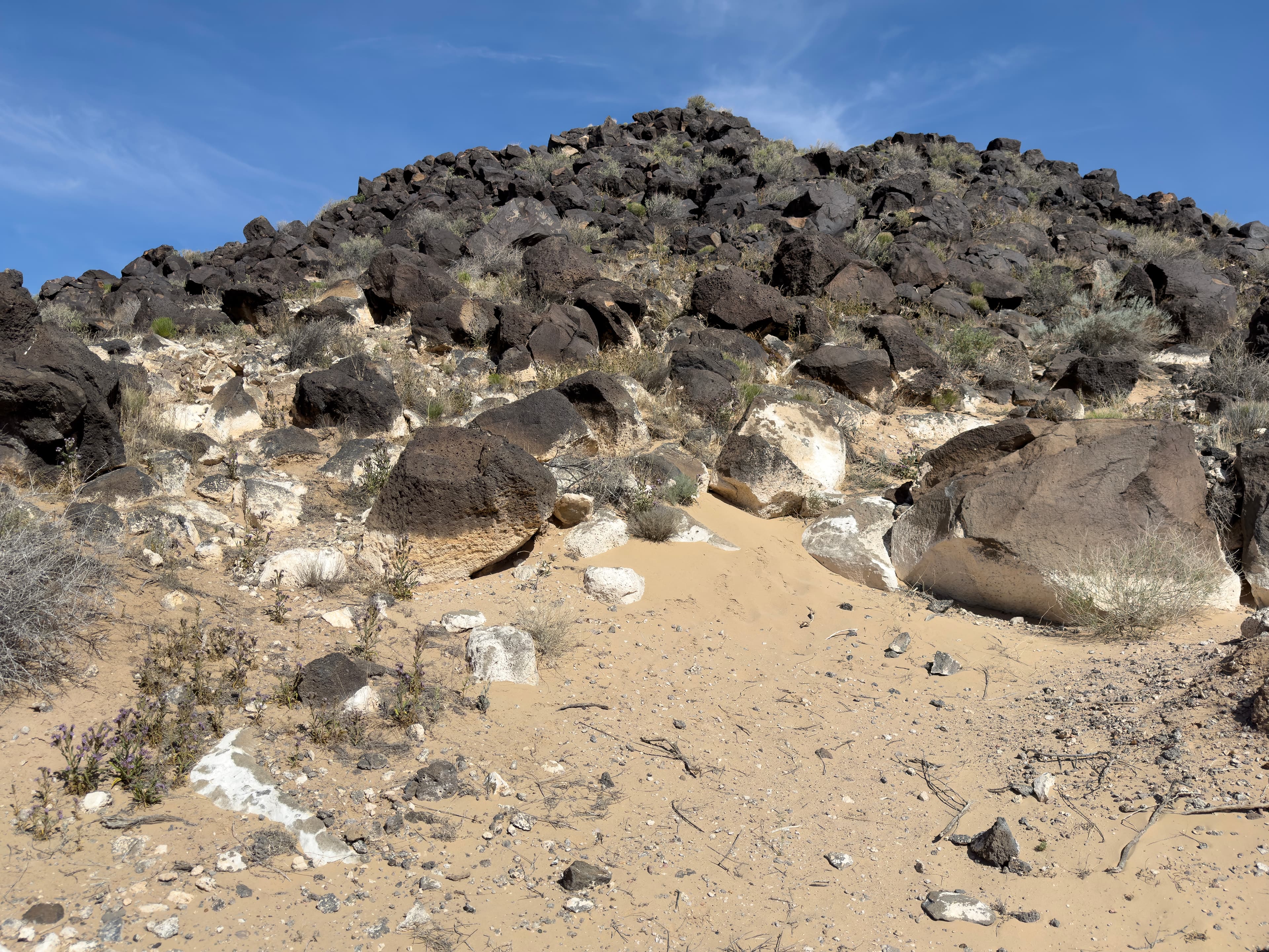 Piedras Marcadas Canyon Petroglyph Viewing Trail Stop 4