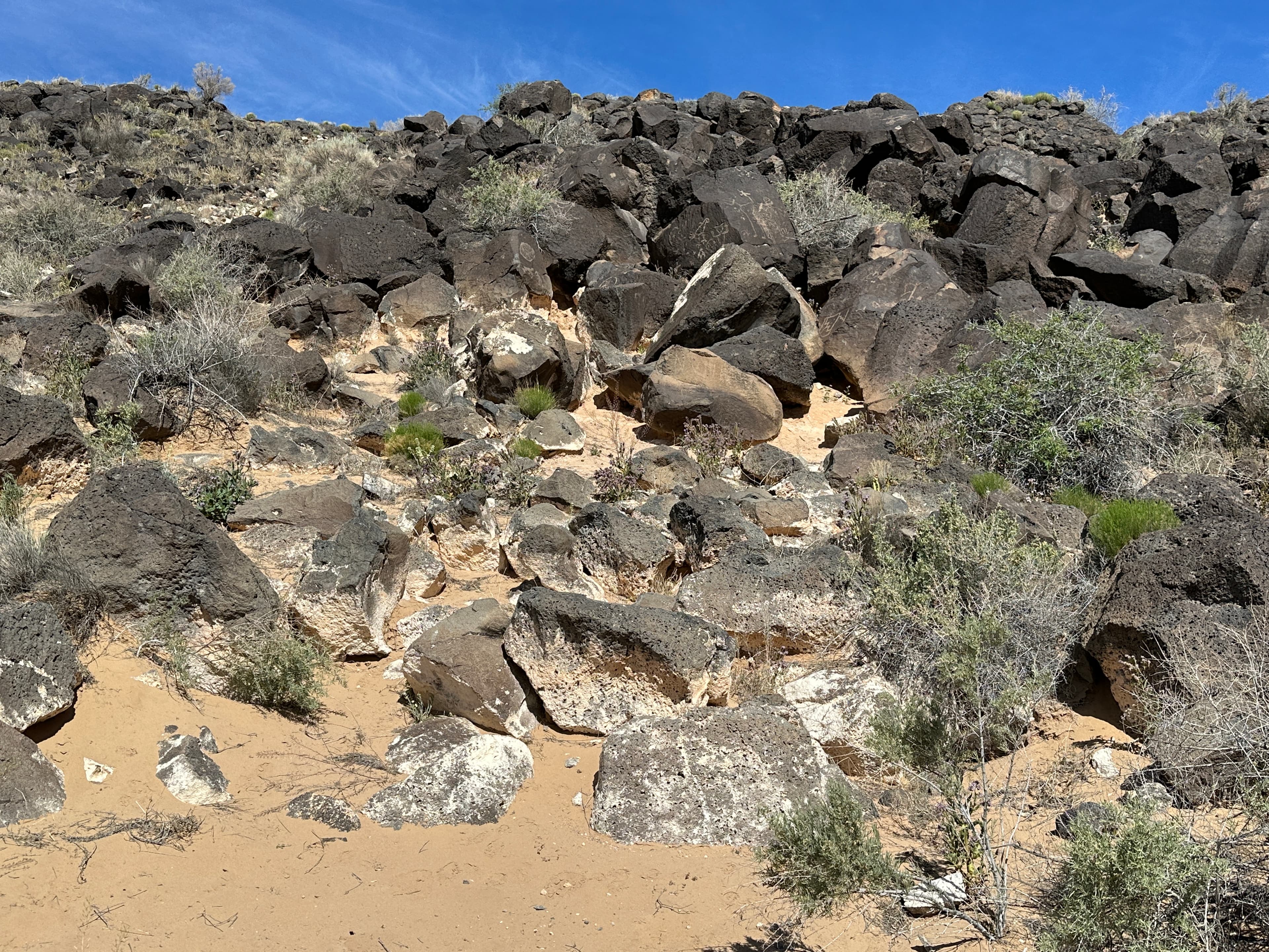 Piedras Marcadas Canyon Petroglyph Viewing Trail Stop 5