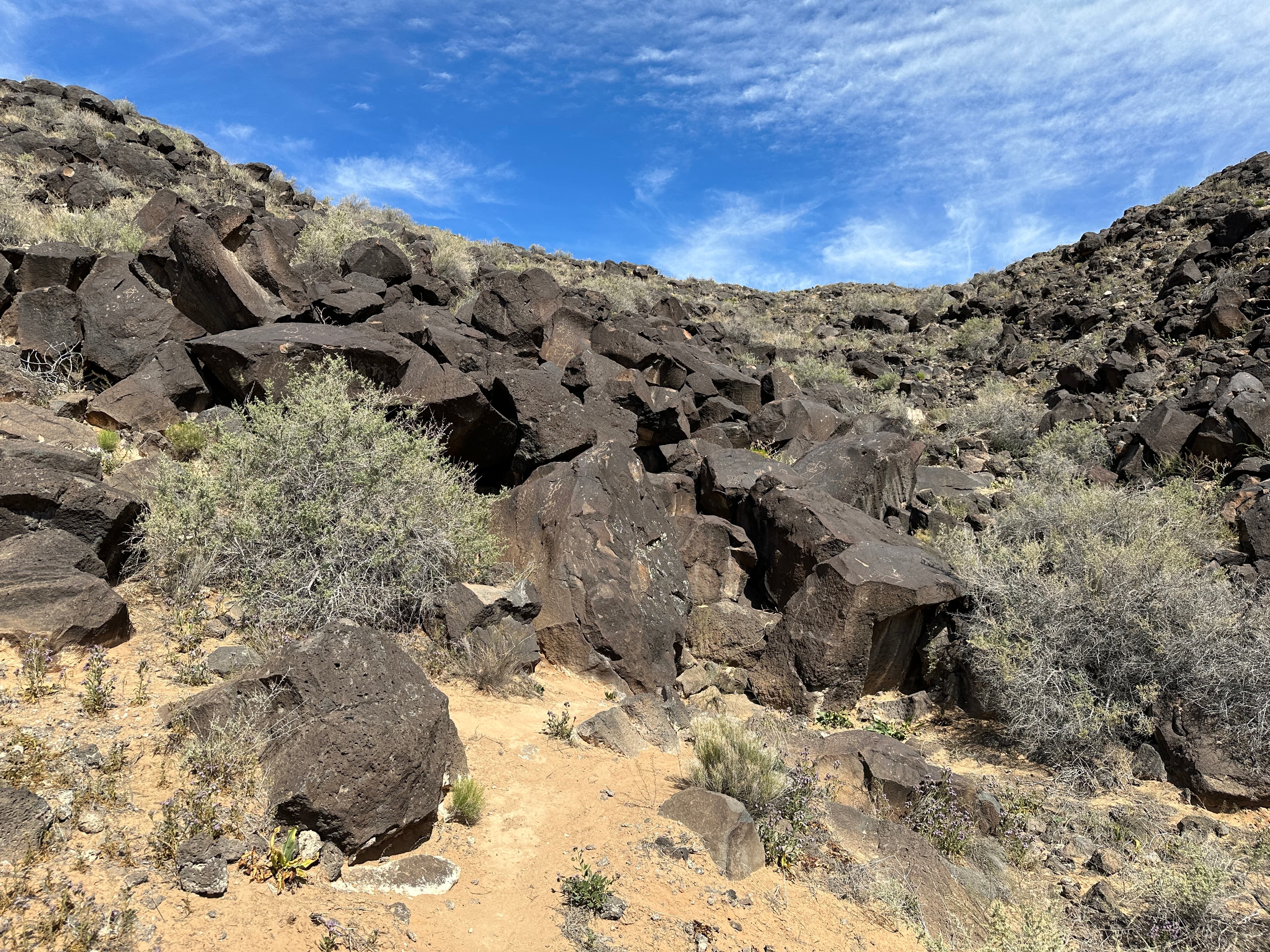 Piedras Marcadas Canyon Petroglyph Viewing Trail Stop 6