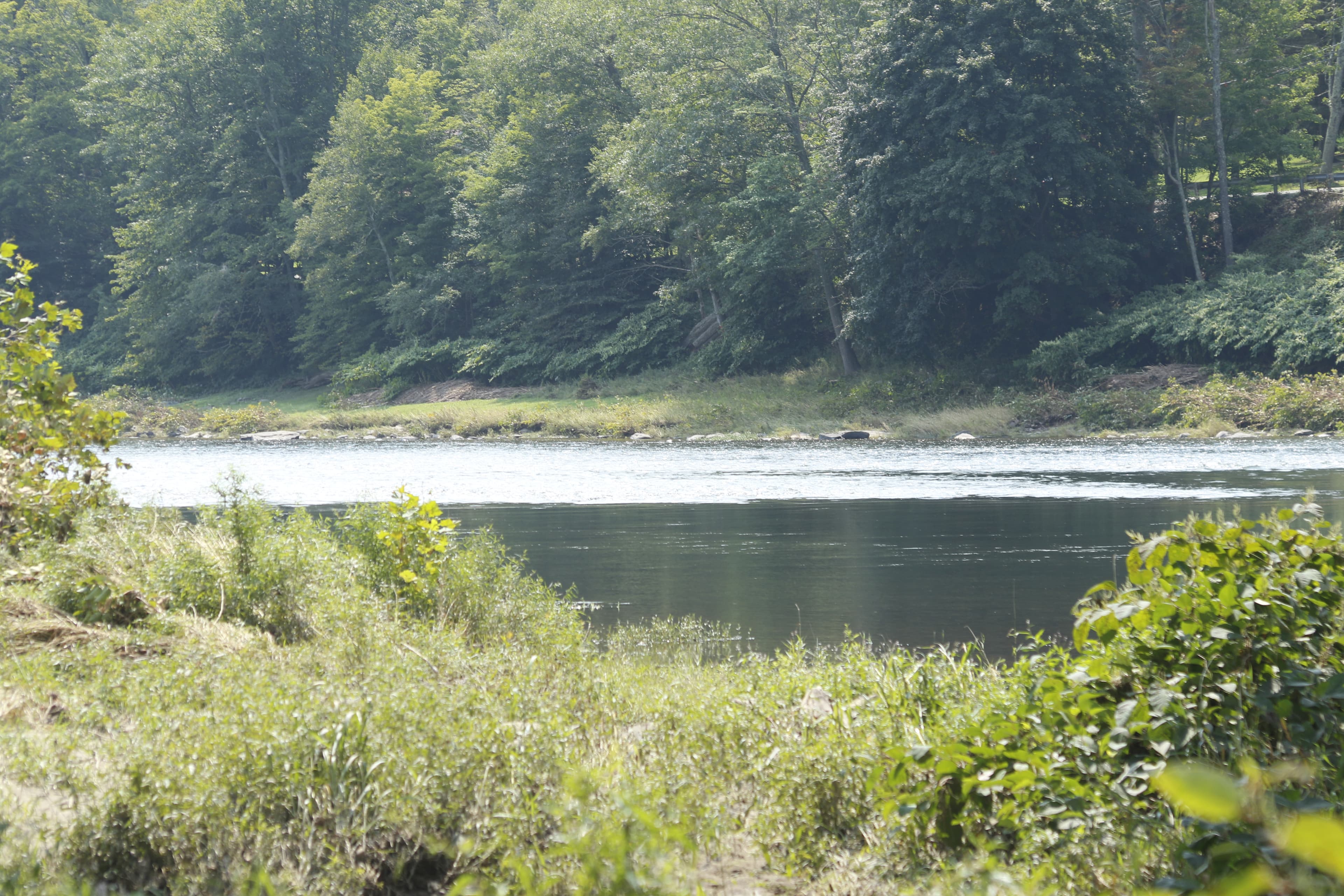 Cochecton River Access