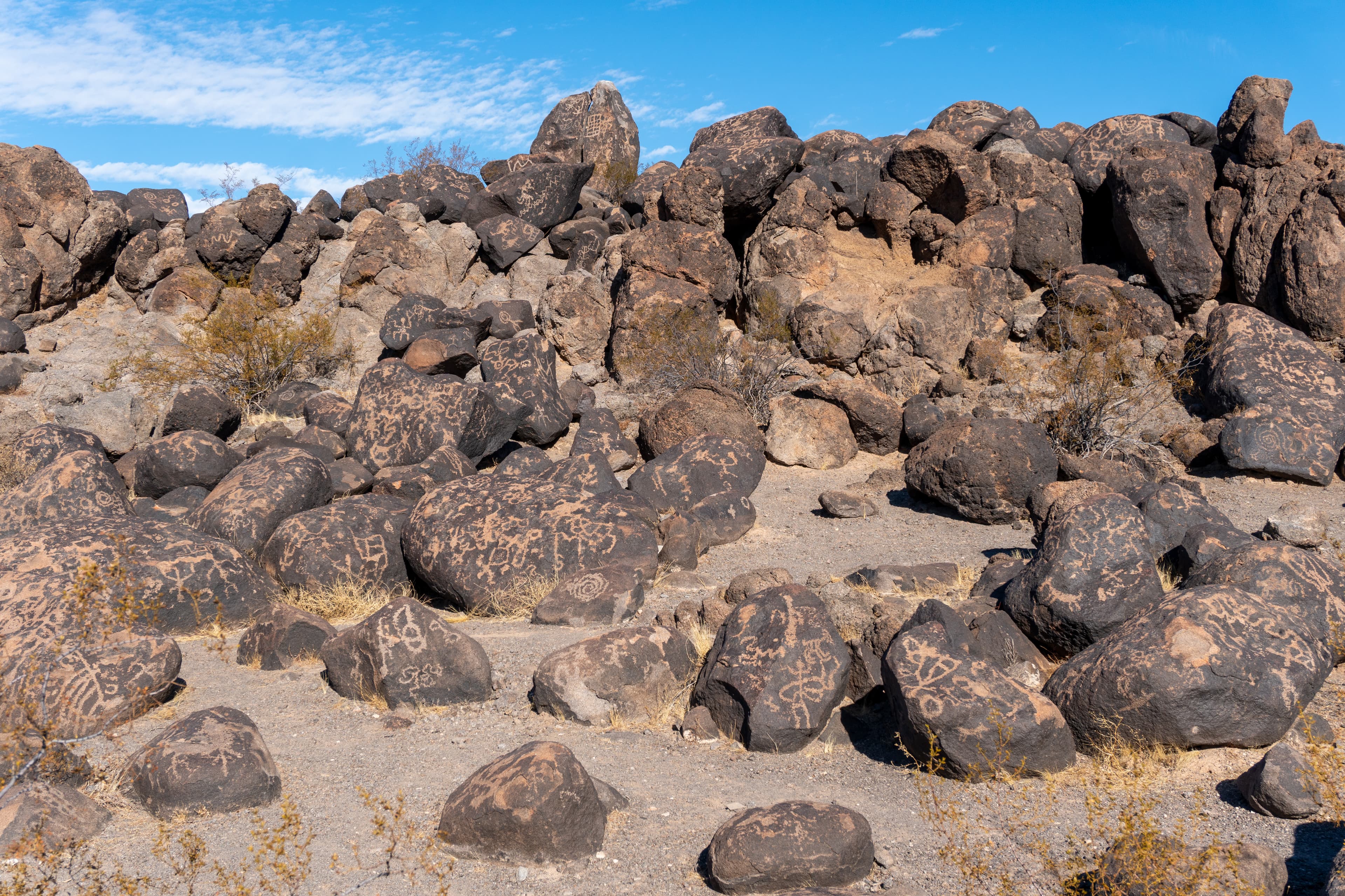 Painted Rock Petroglyph Site
