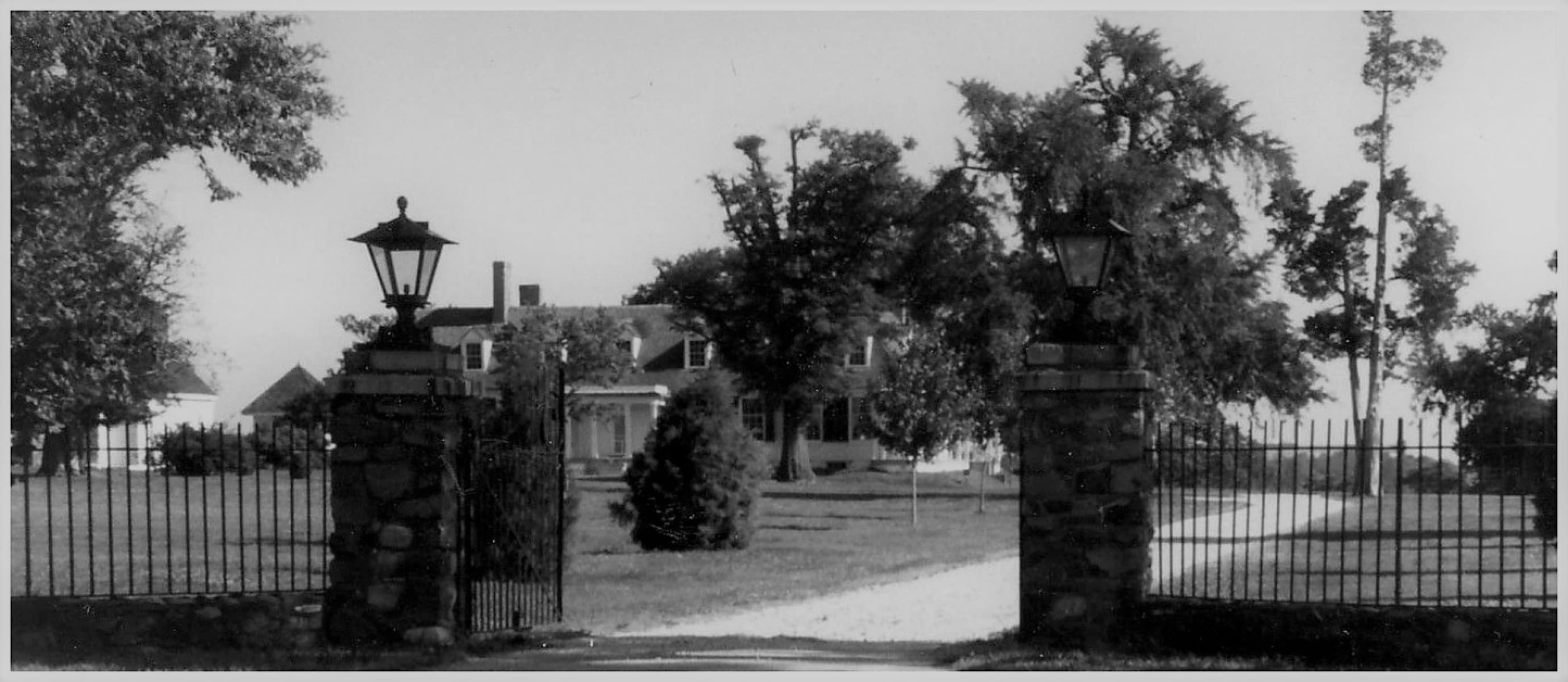 Appomattox Plantation Driveway