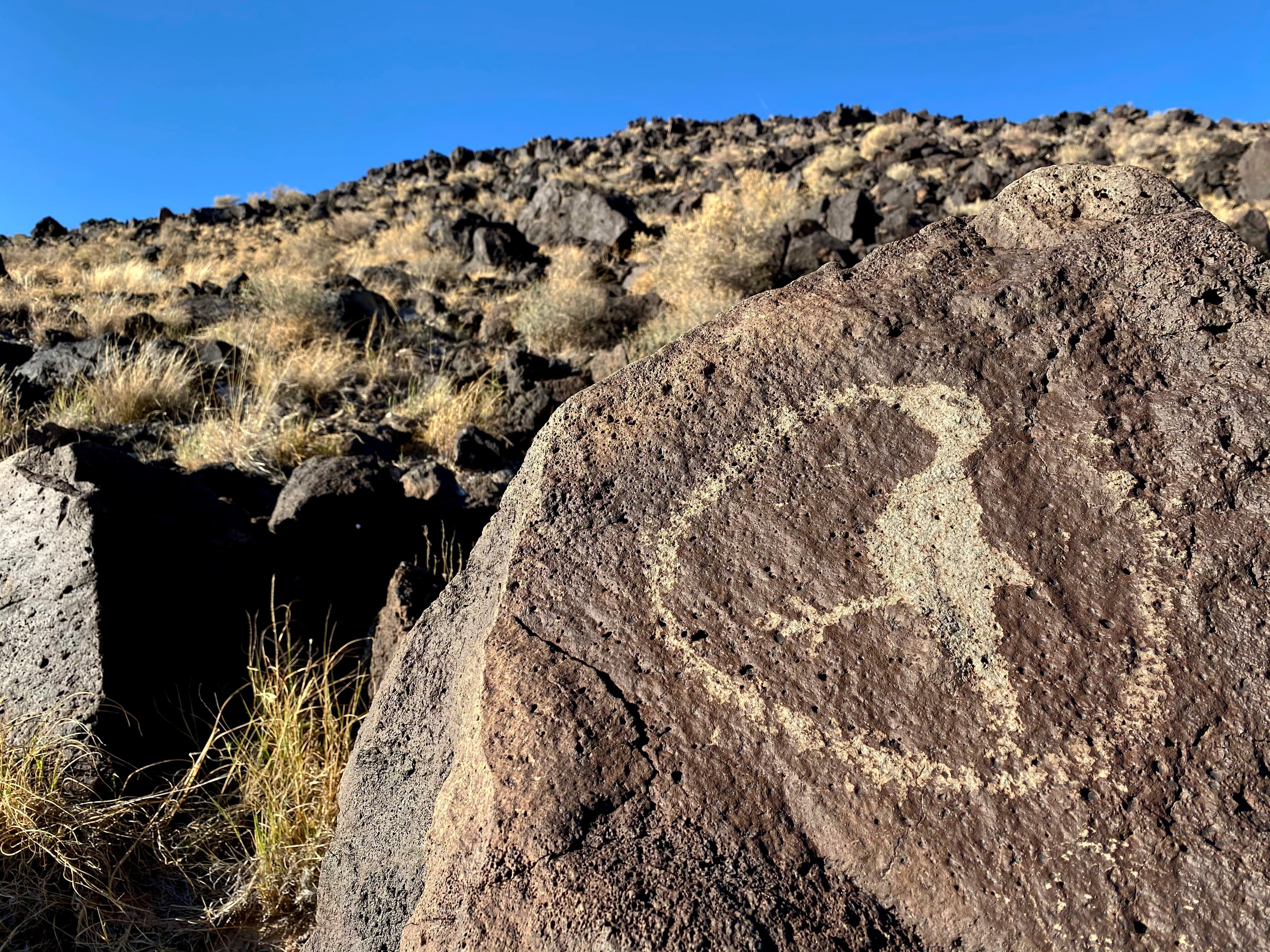 Rinconada Canyon
