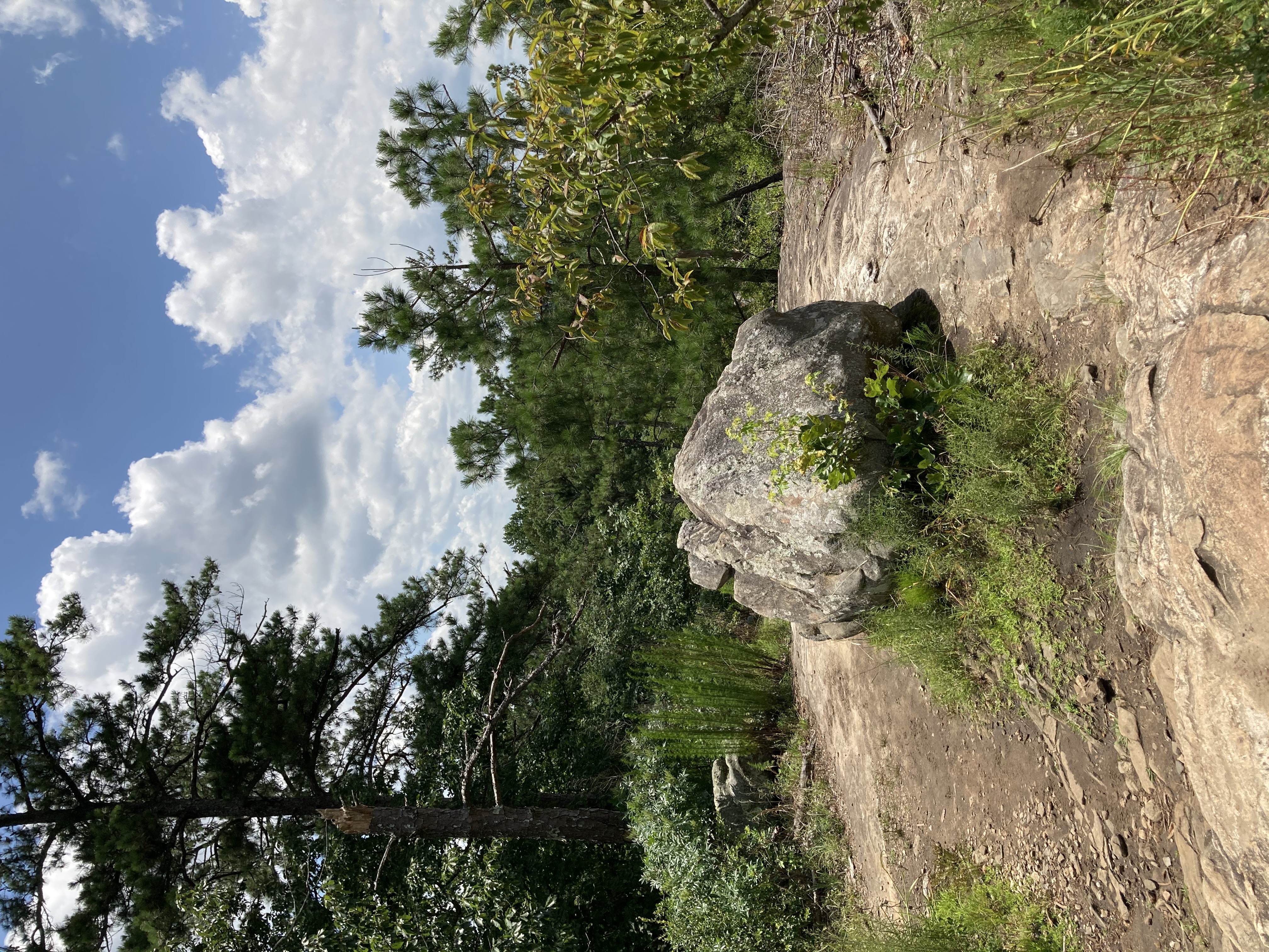 Pigeon Hill