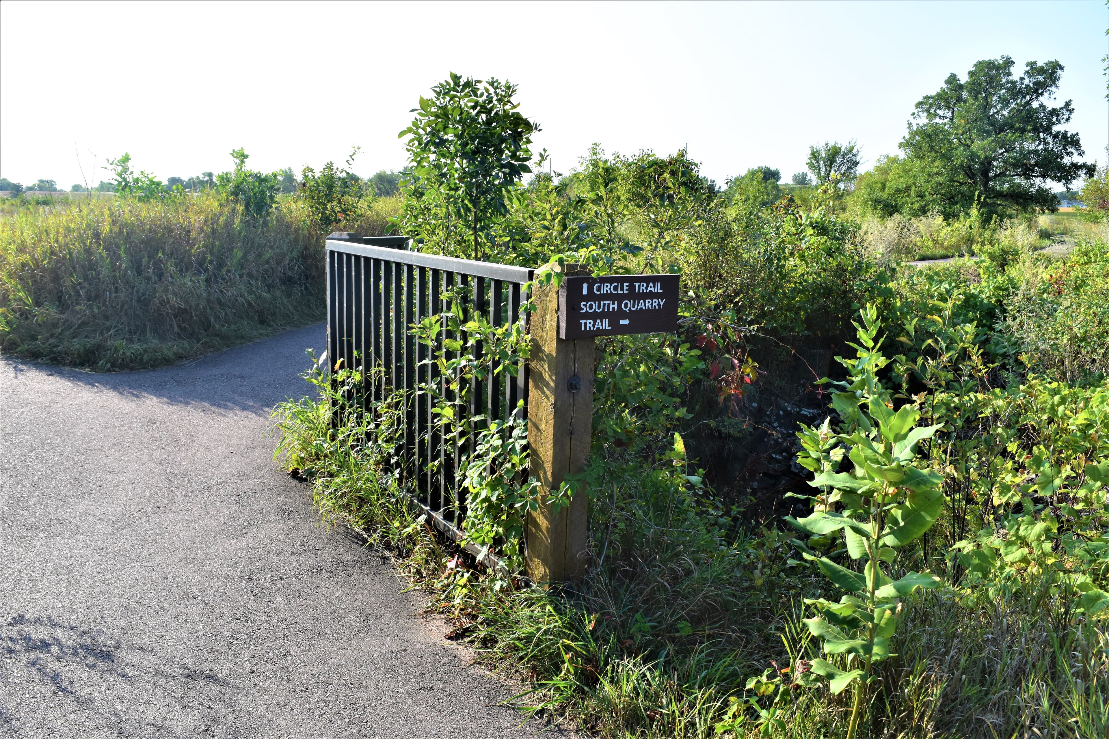 South Quarry Trail Junction - Circle Trail