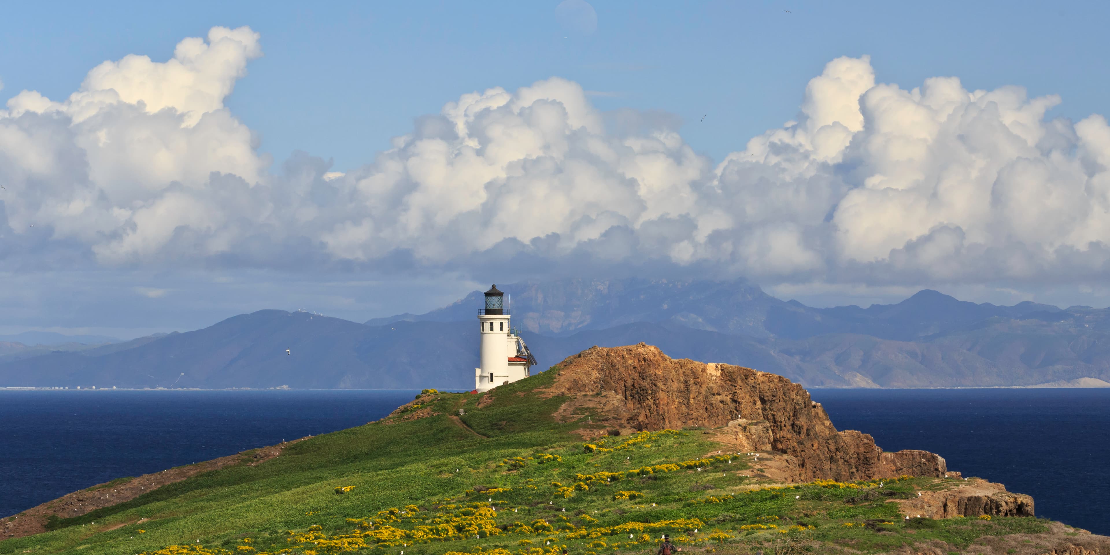 Anacapa Island Webcam
