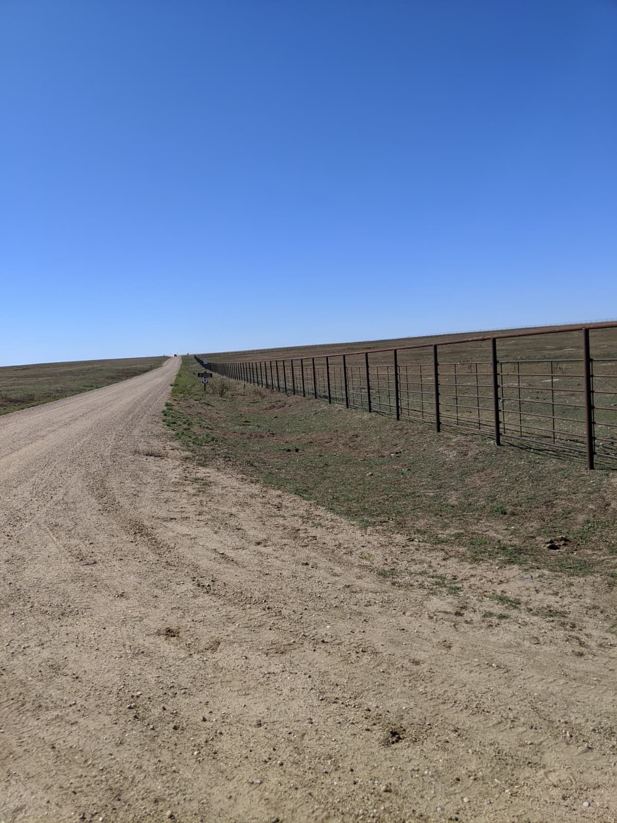 Badlands Bison Corral