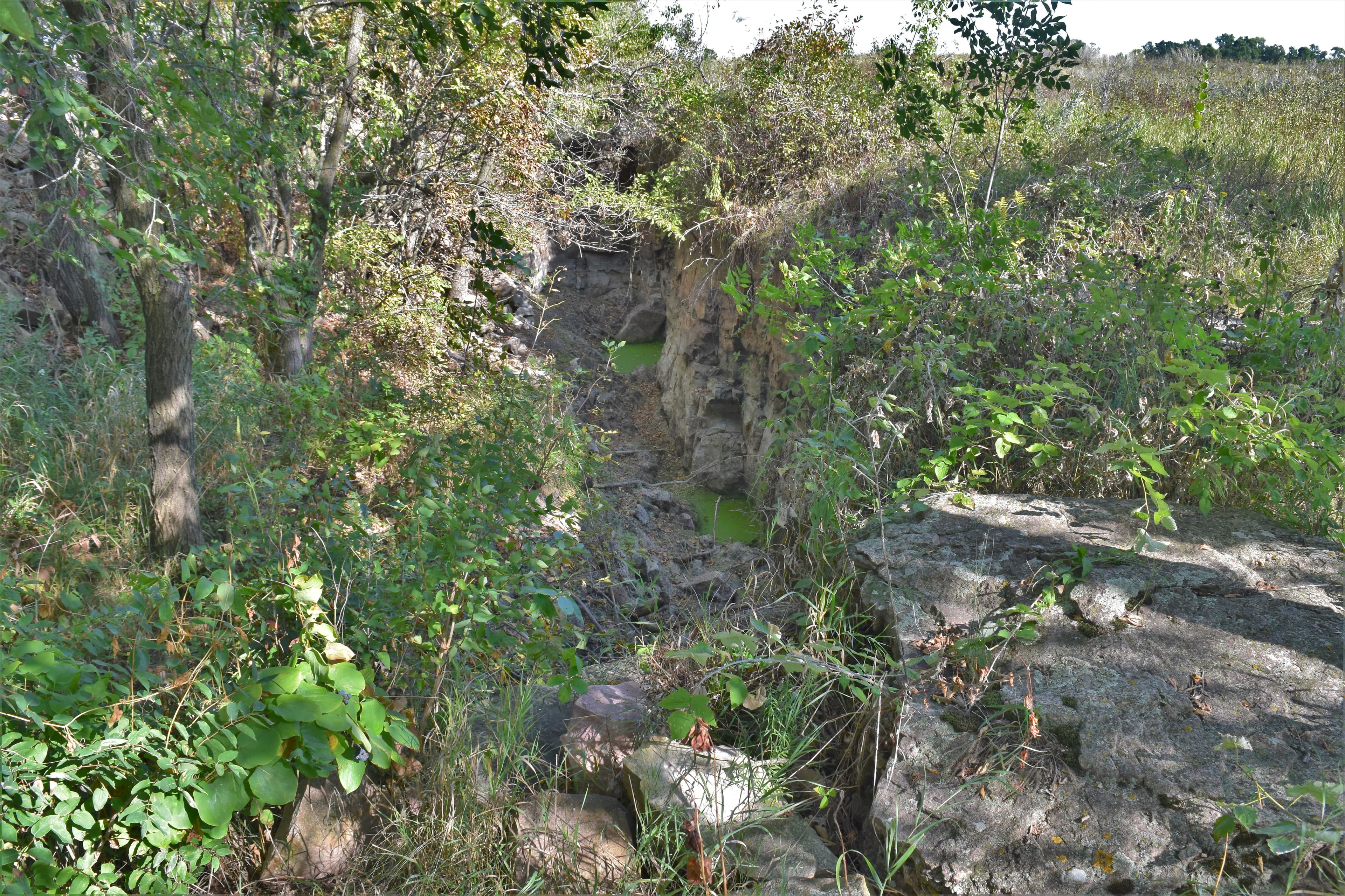 Spotted Quarry