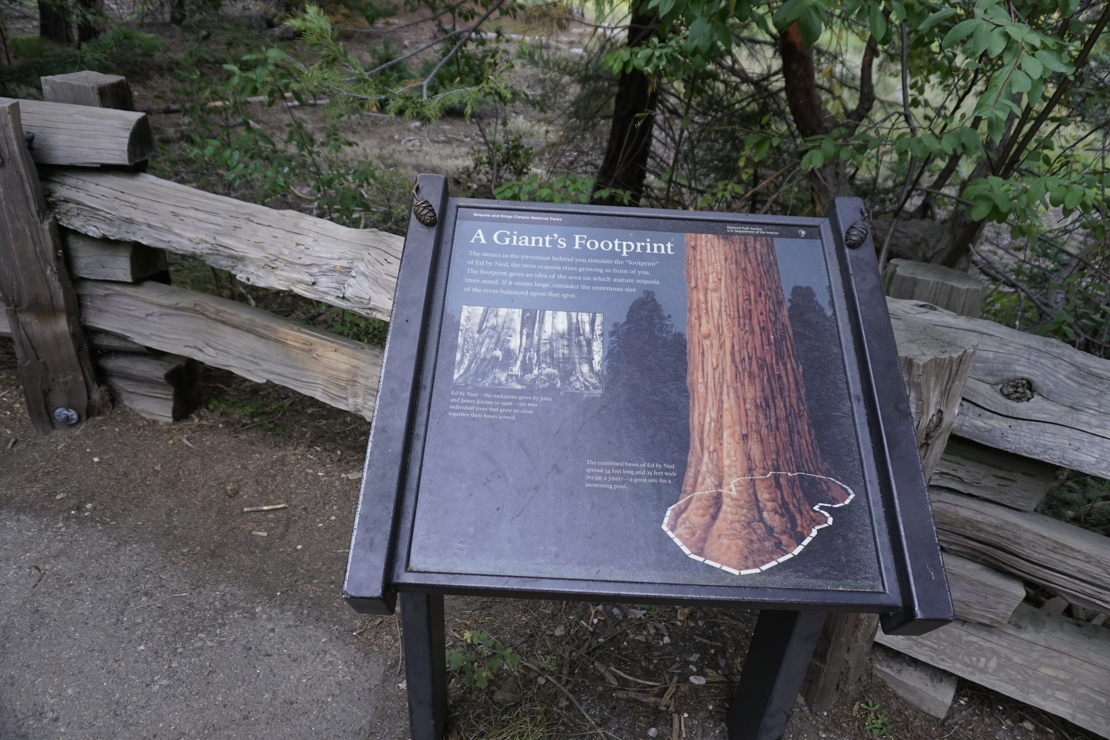 A Giant's Footprint