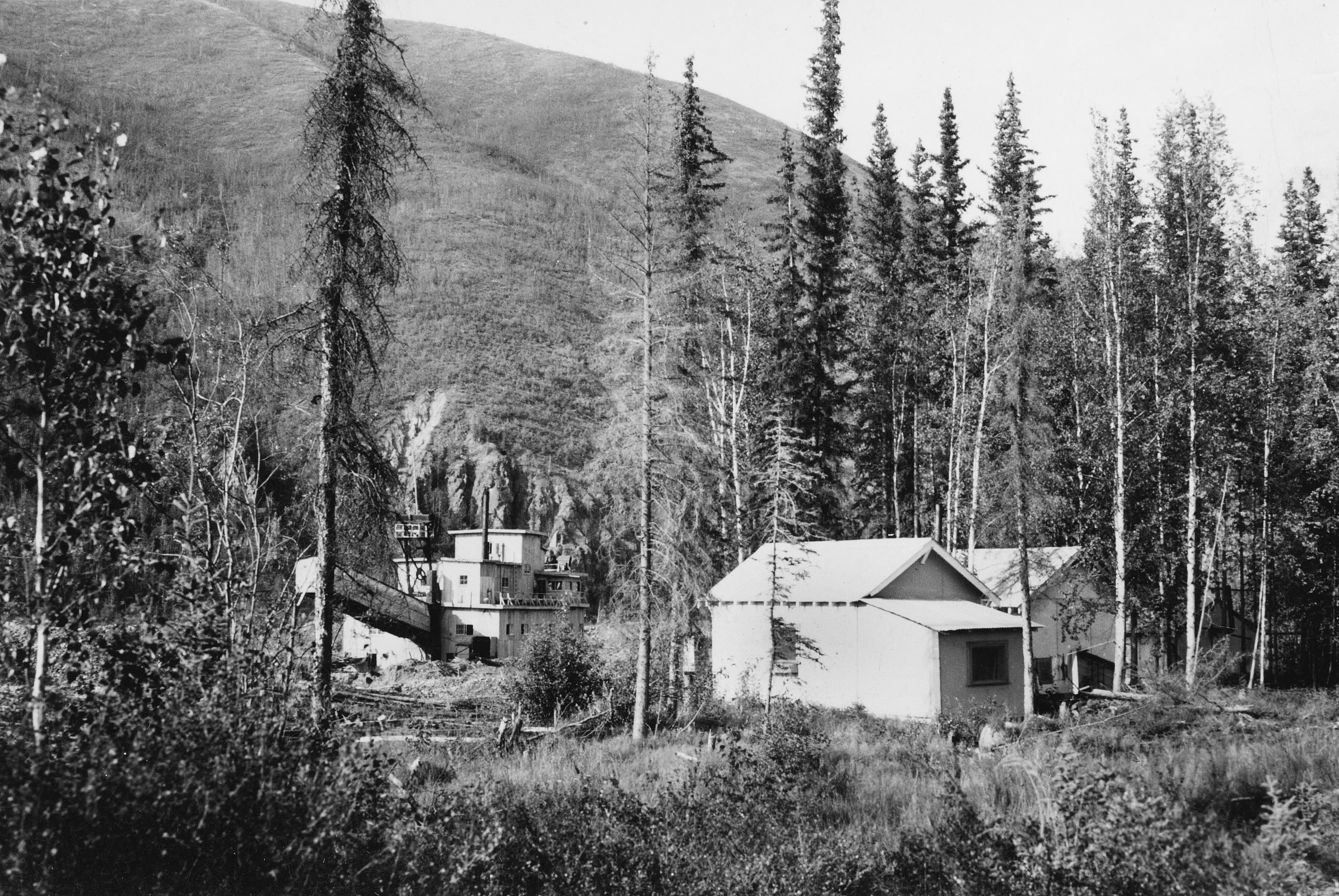 Coal Creek Camp