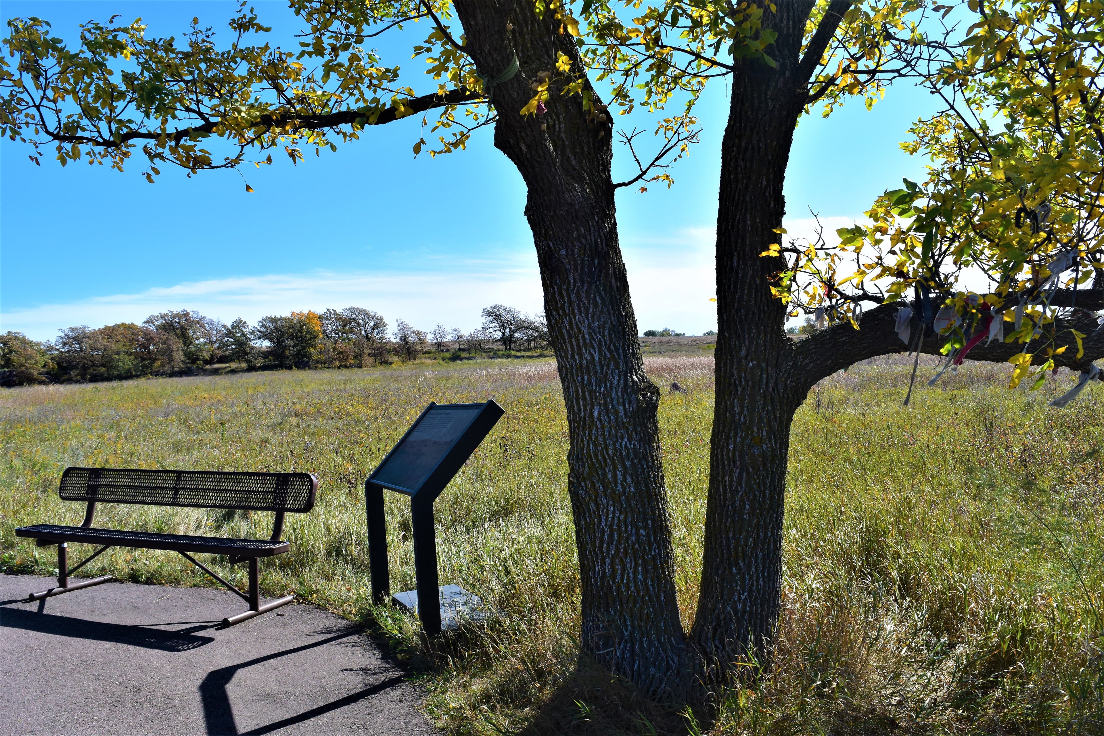 Prairie: Past and Present