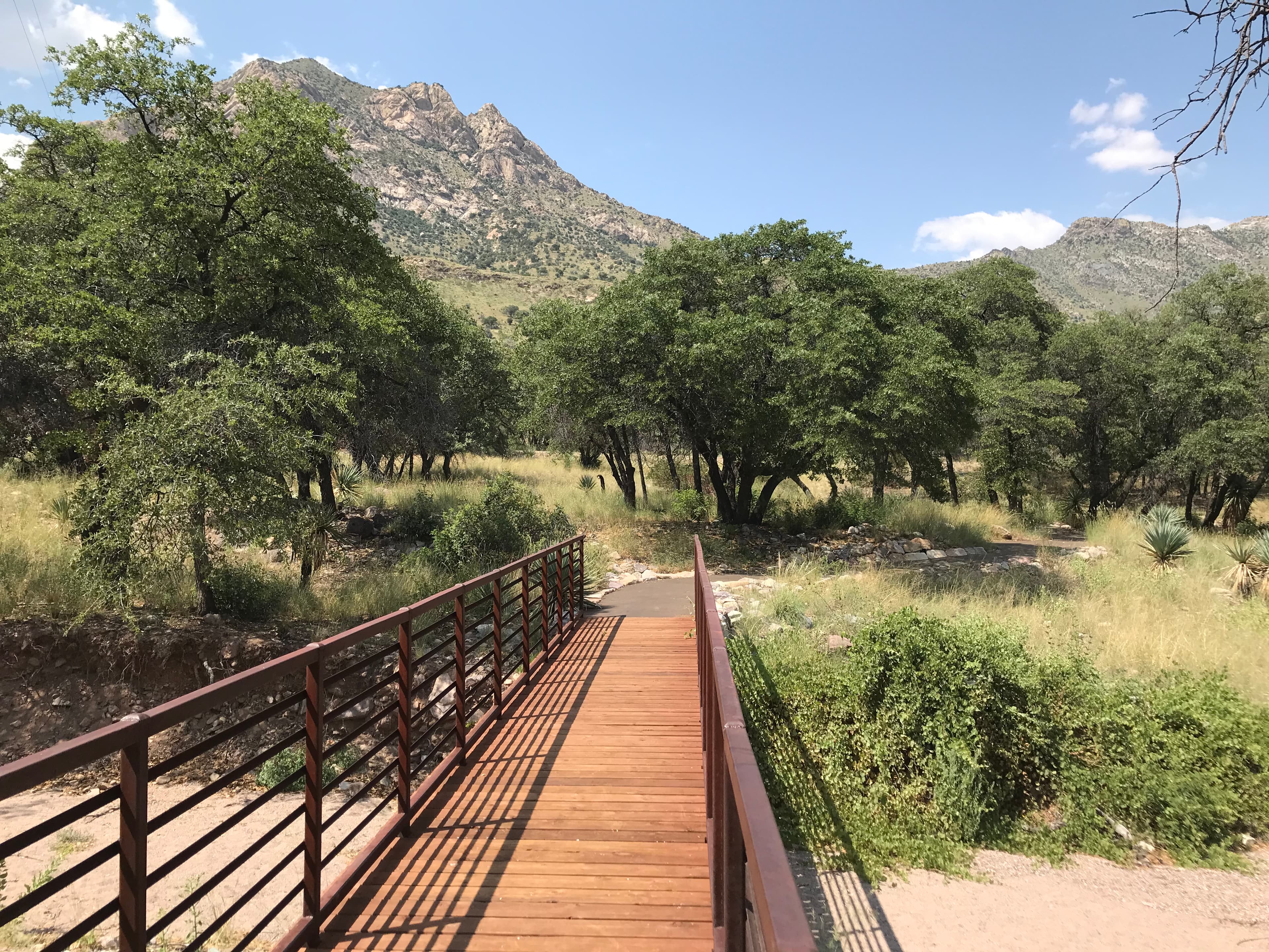 Coronado Picnic Trail