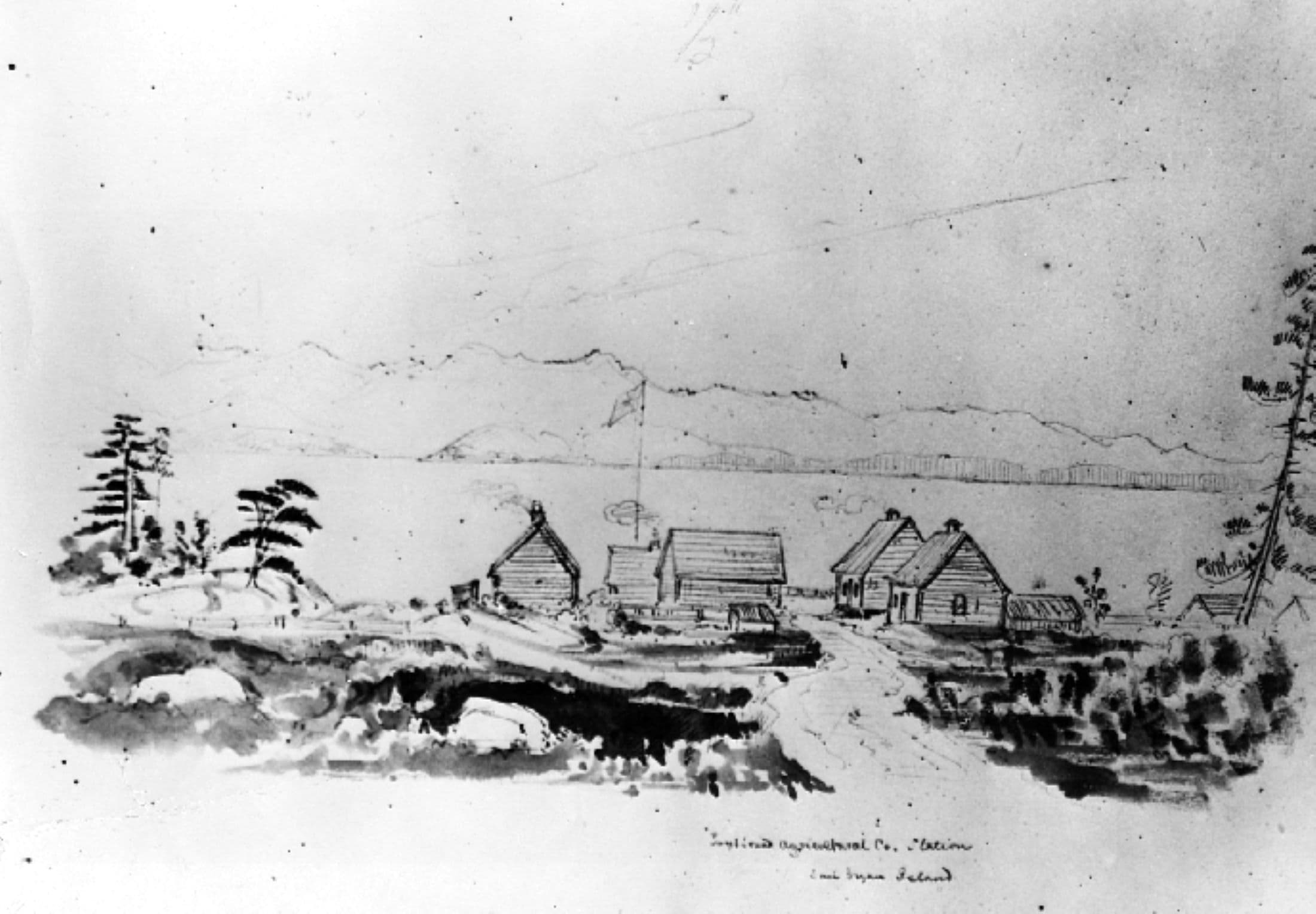 1854 Customs Conflict