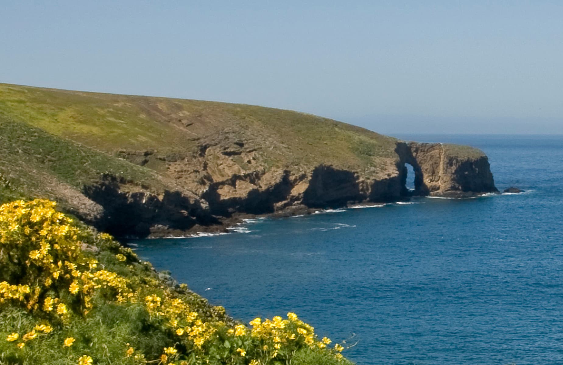 Arch Point