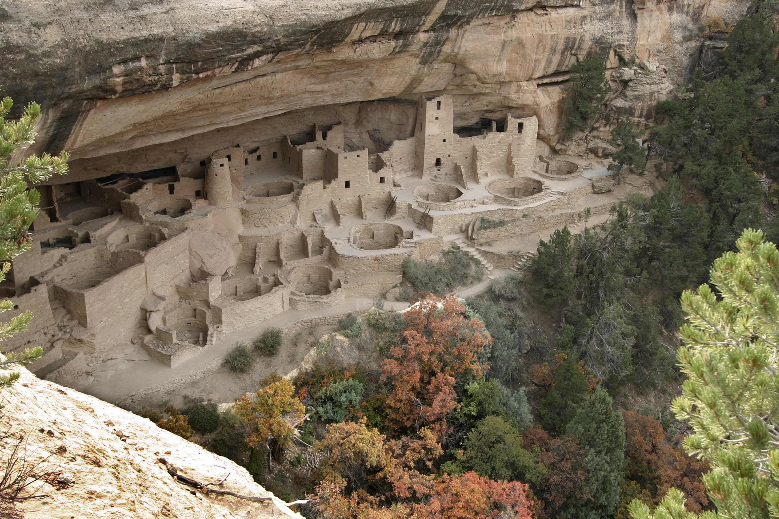 Cliff Palace Loop Road