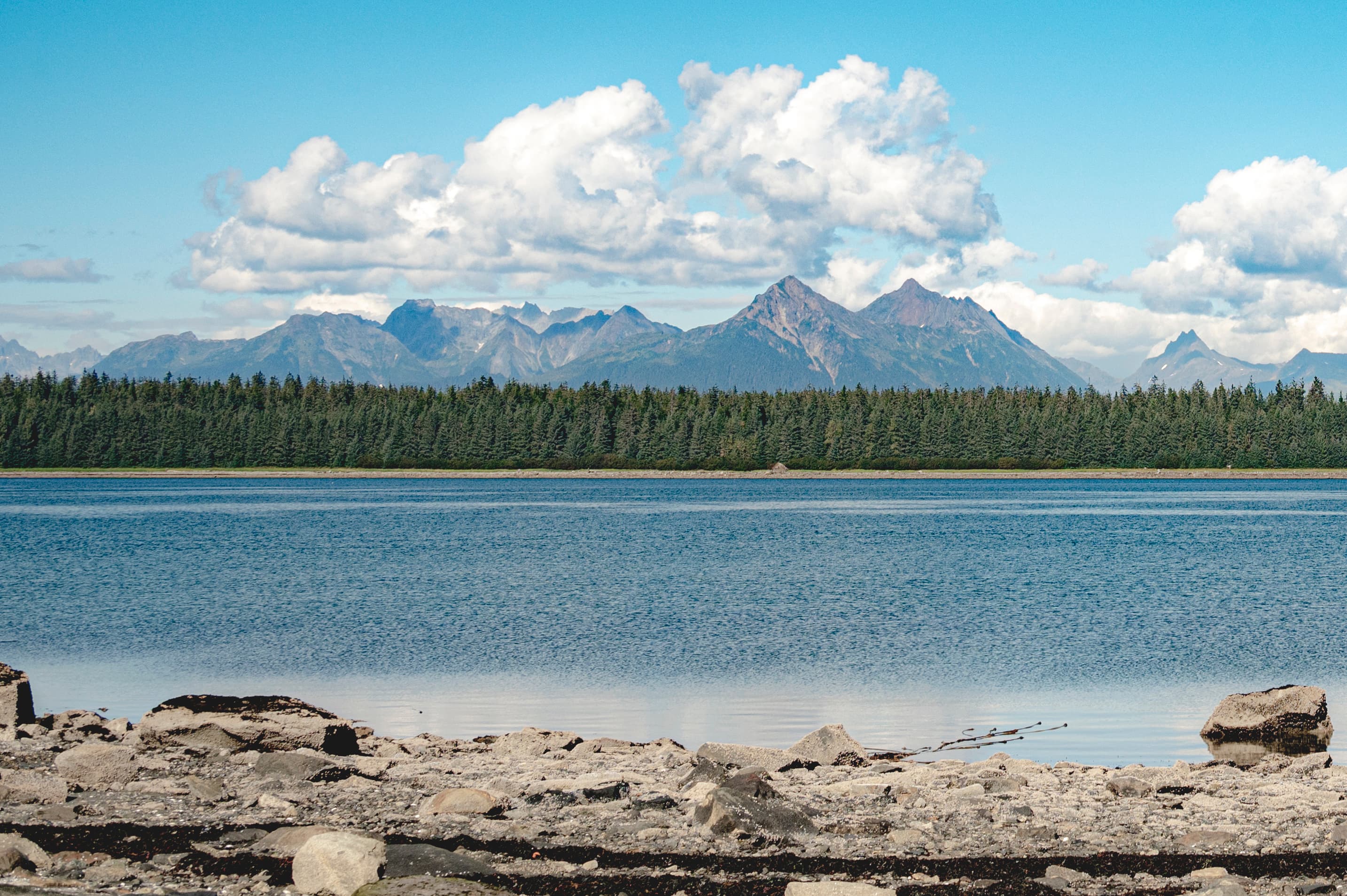 Beartrack Mountains