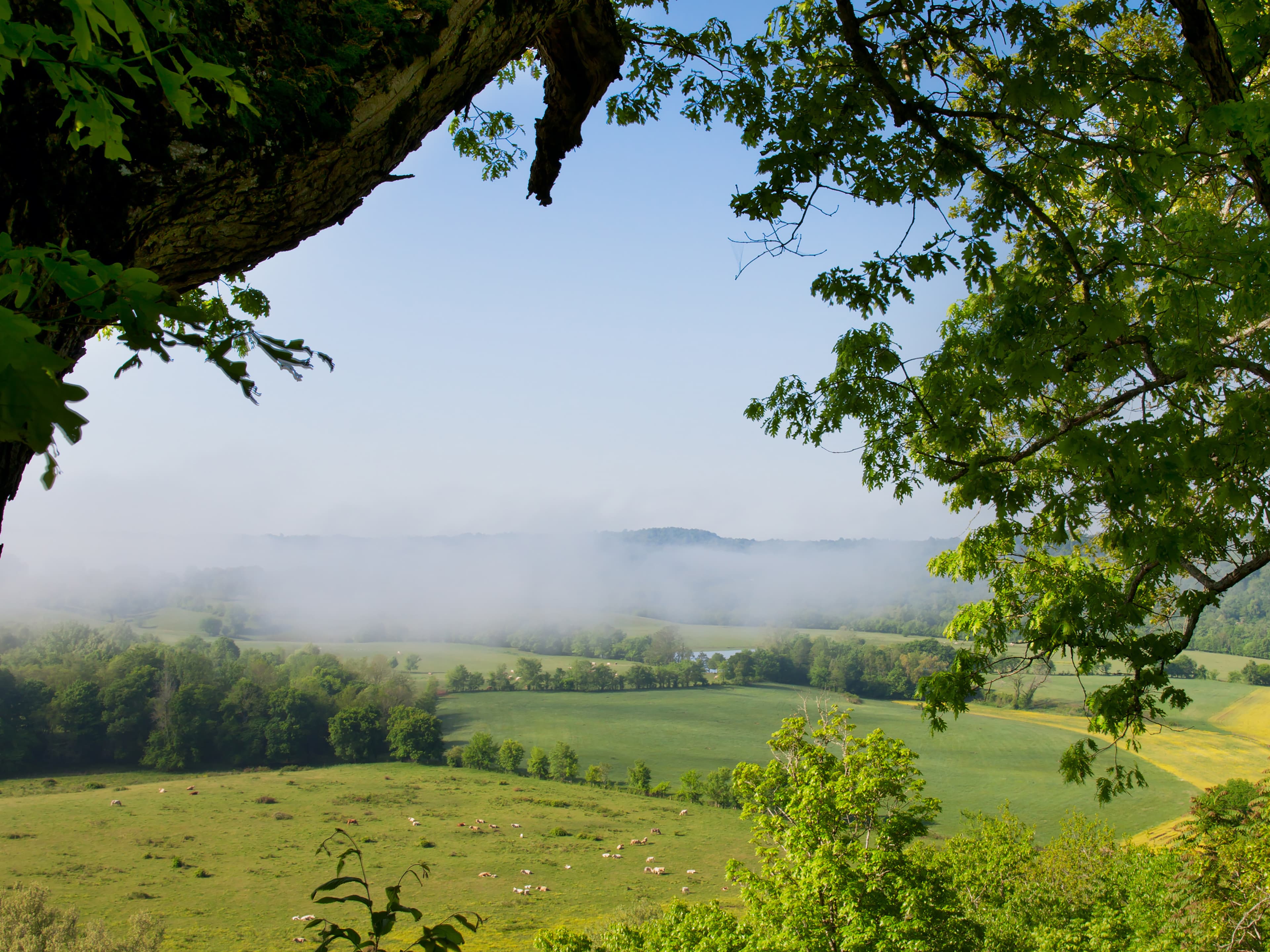 Baker Bluff Overlook, Milepost 405.1