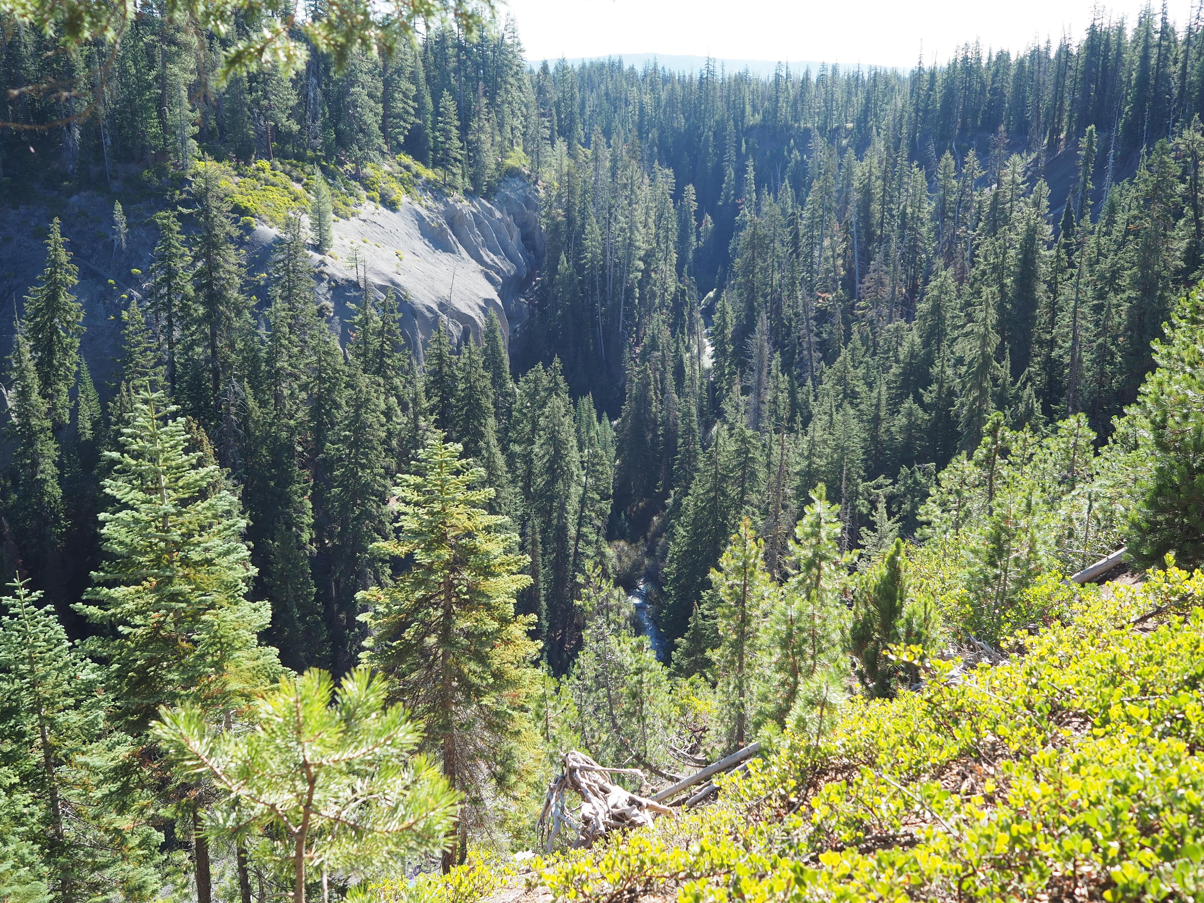 Annie Falls Picnic Area