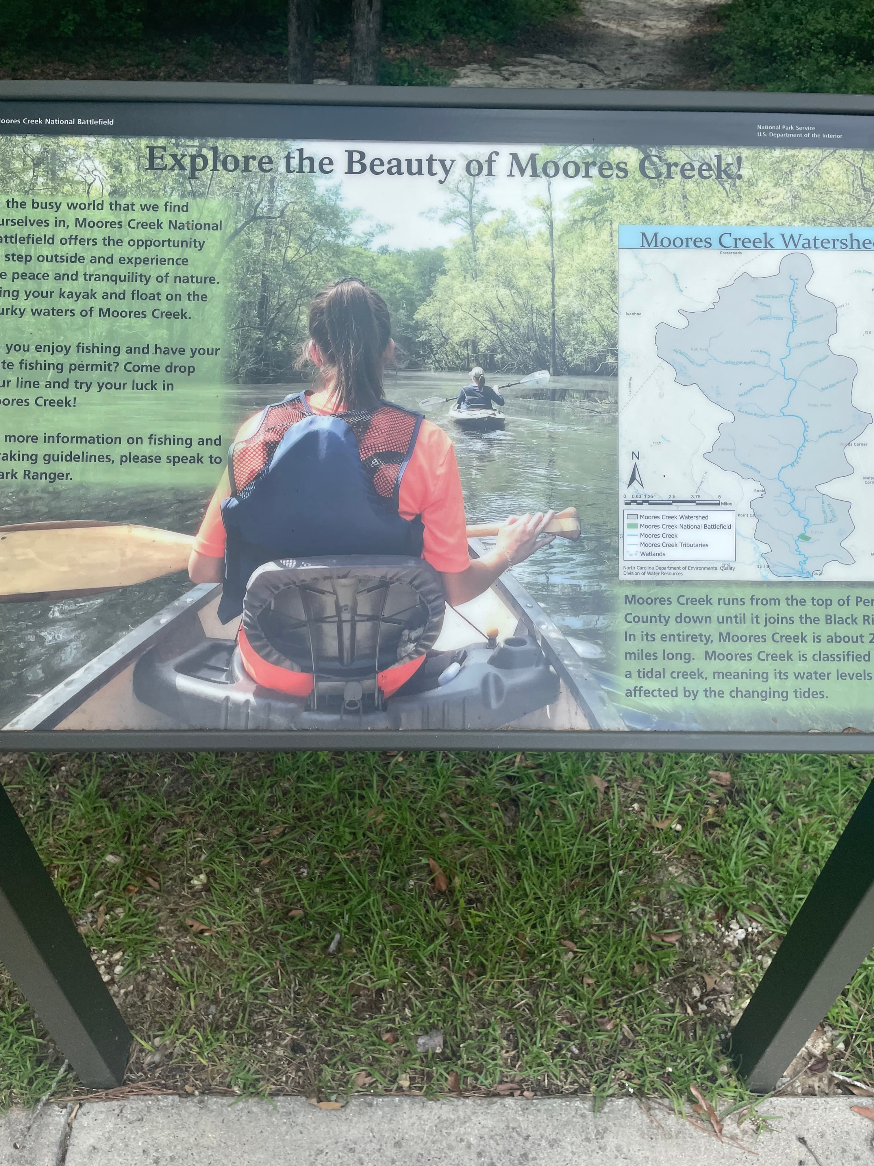 Explore the Beauty of Moores Creek Wayside