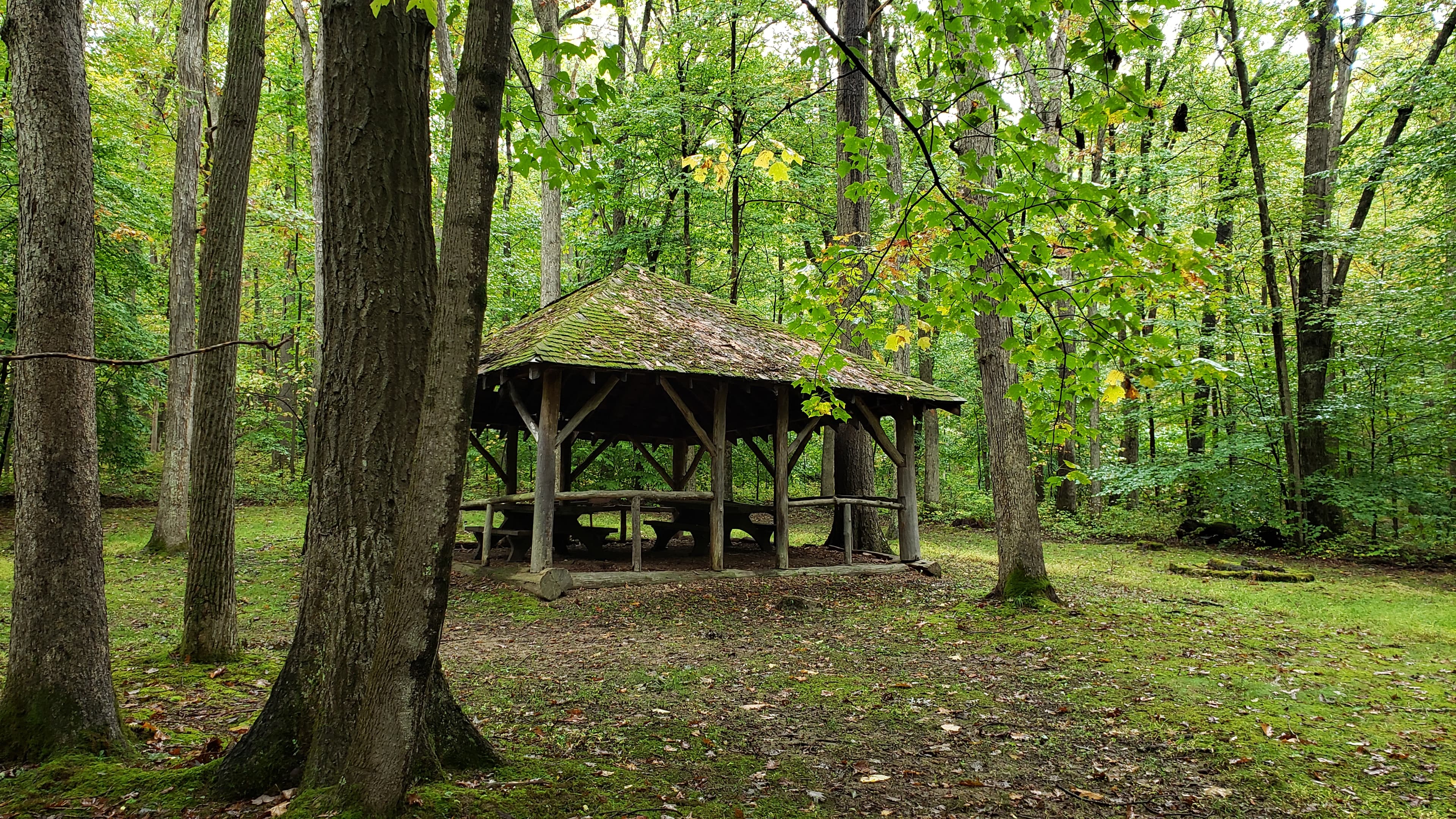 Fort Necessity Picnic Area