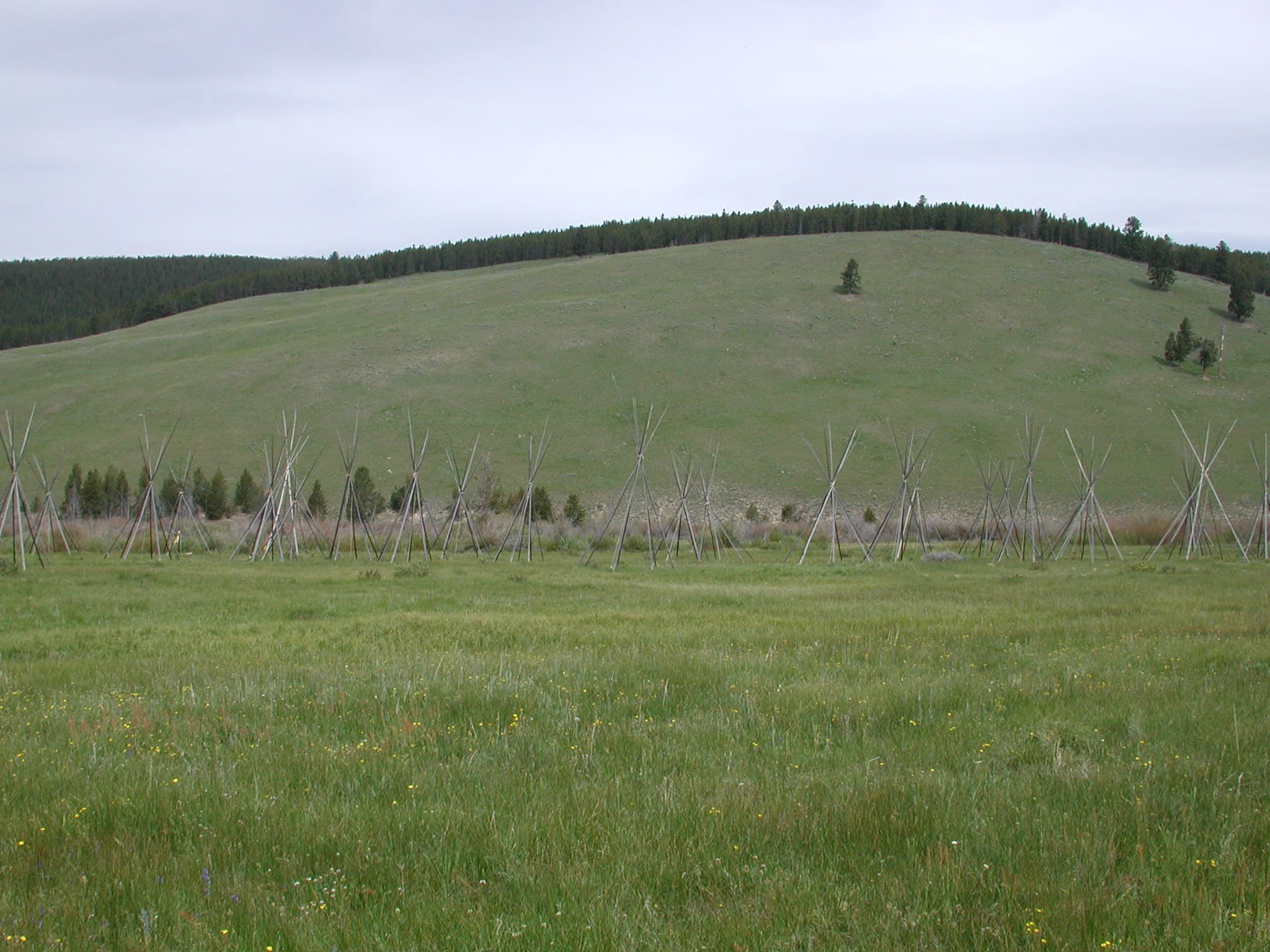 Nez Perce Encampment