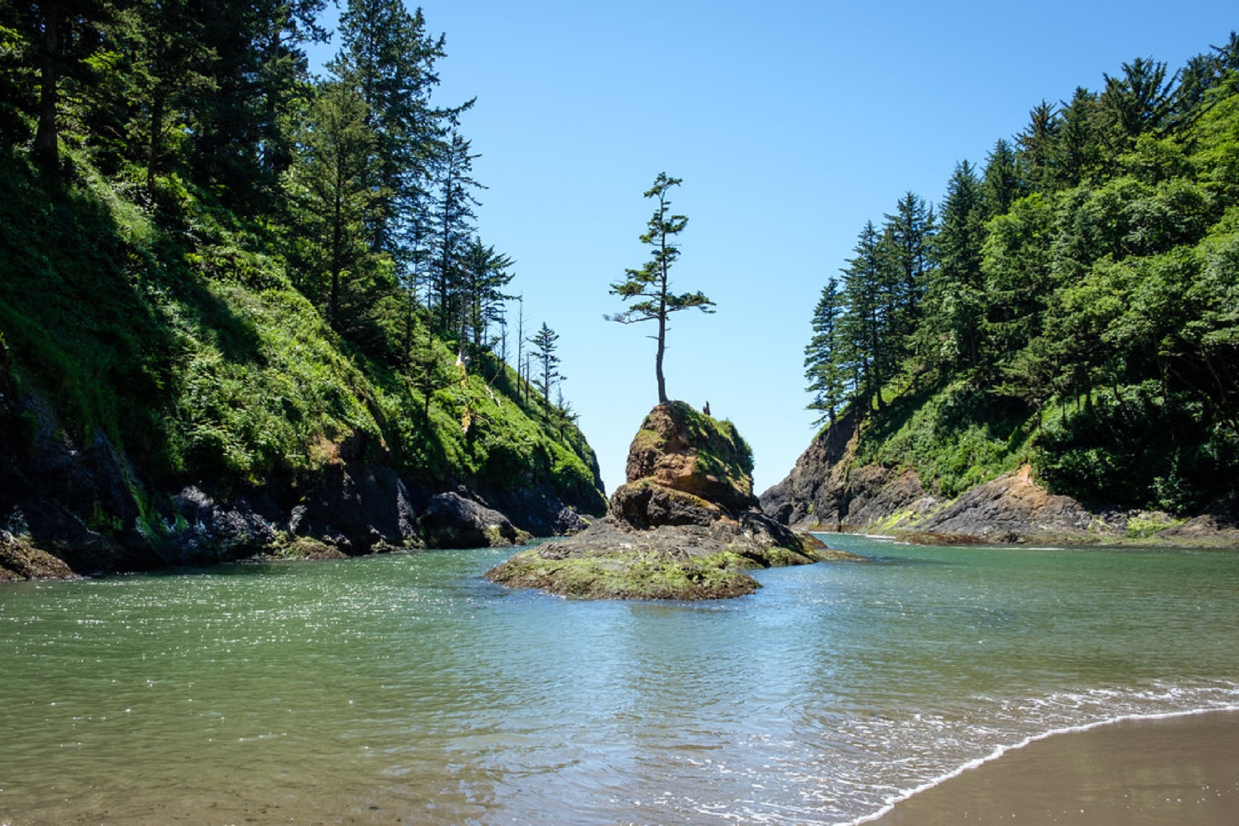Cape Disappointment State Park