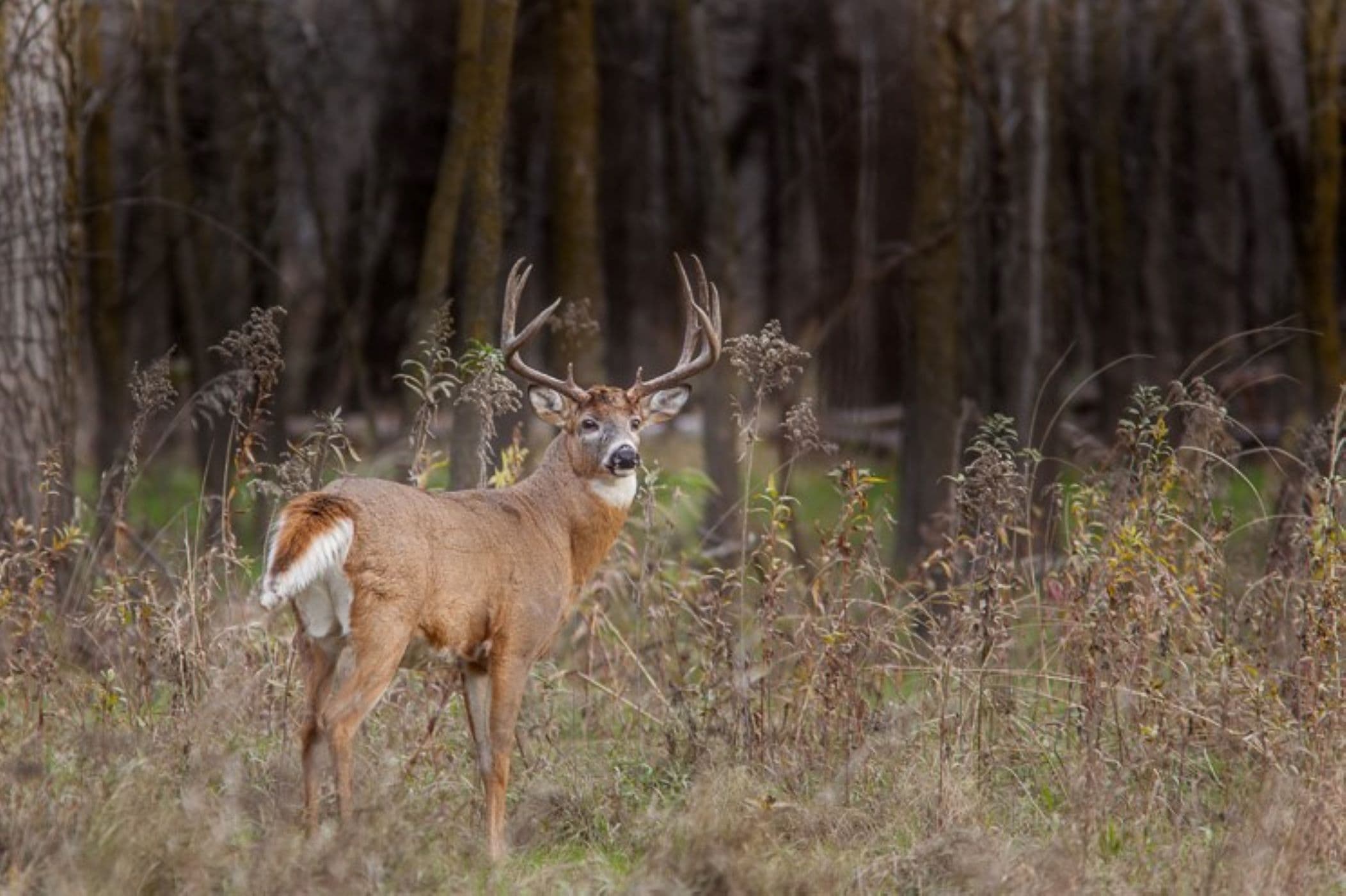 Fort Snelling State Park
