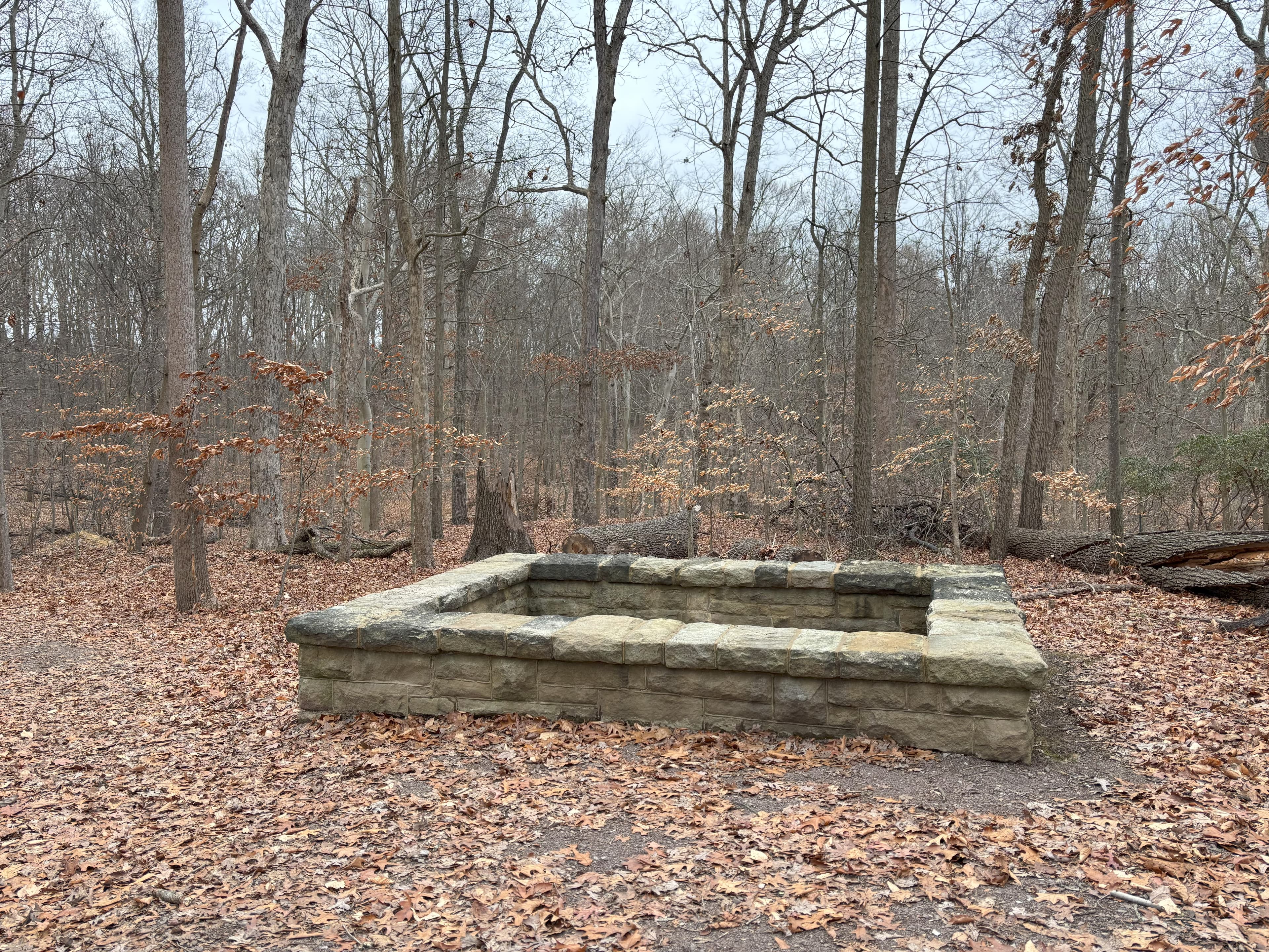 Sophia's Grave