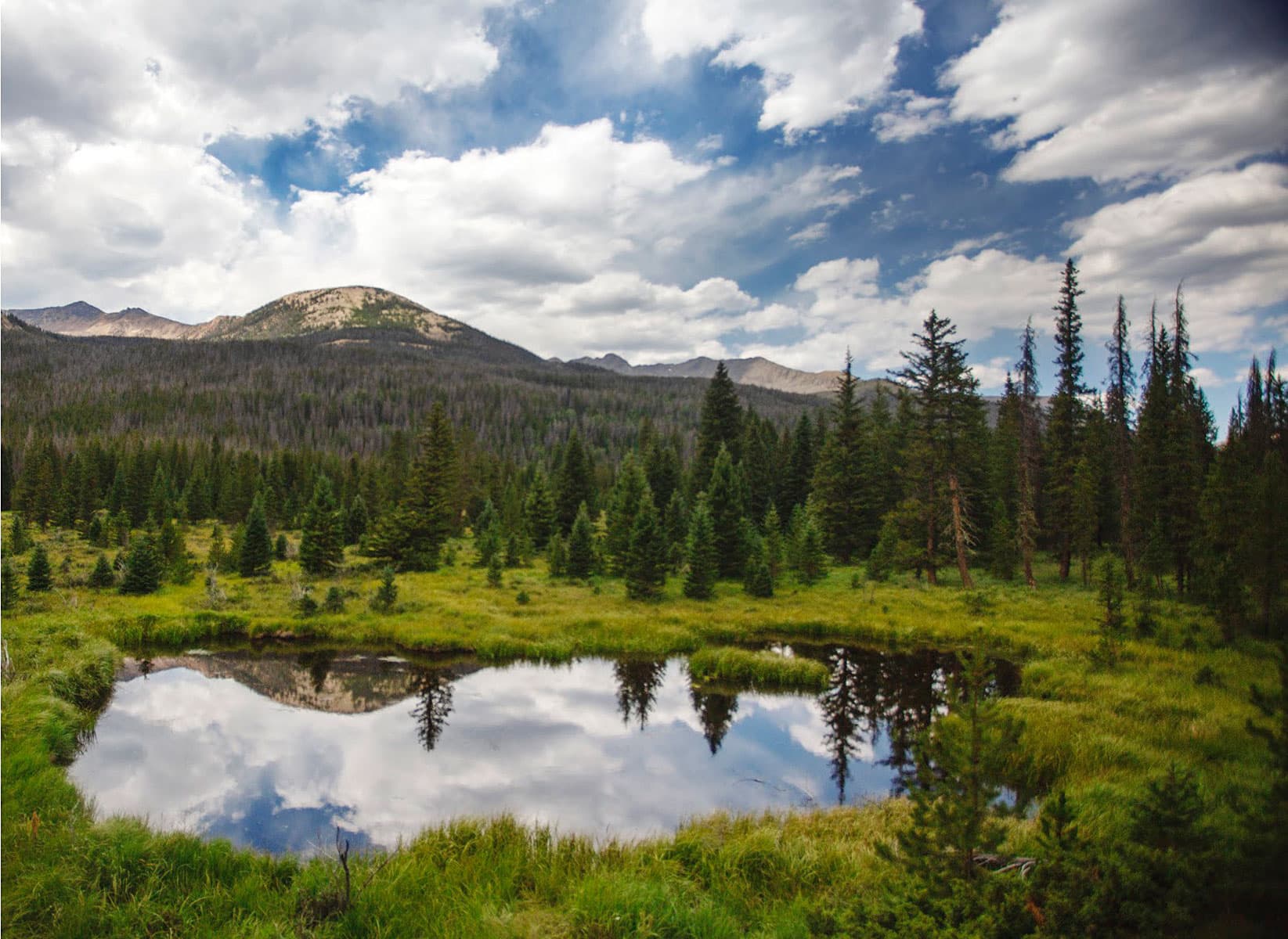 Beaver Ponds Picnic Area