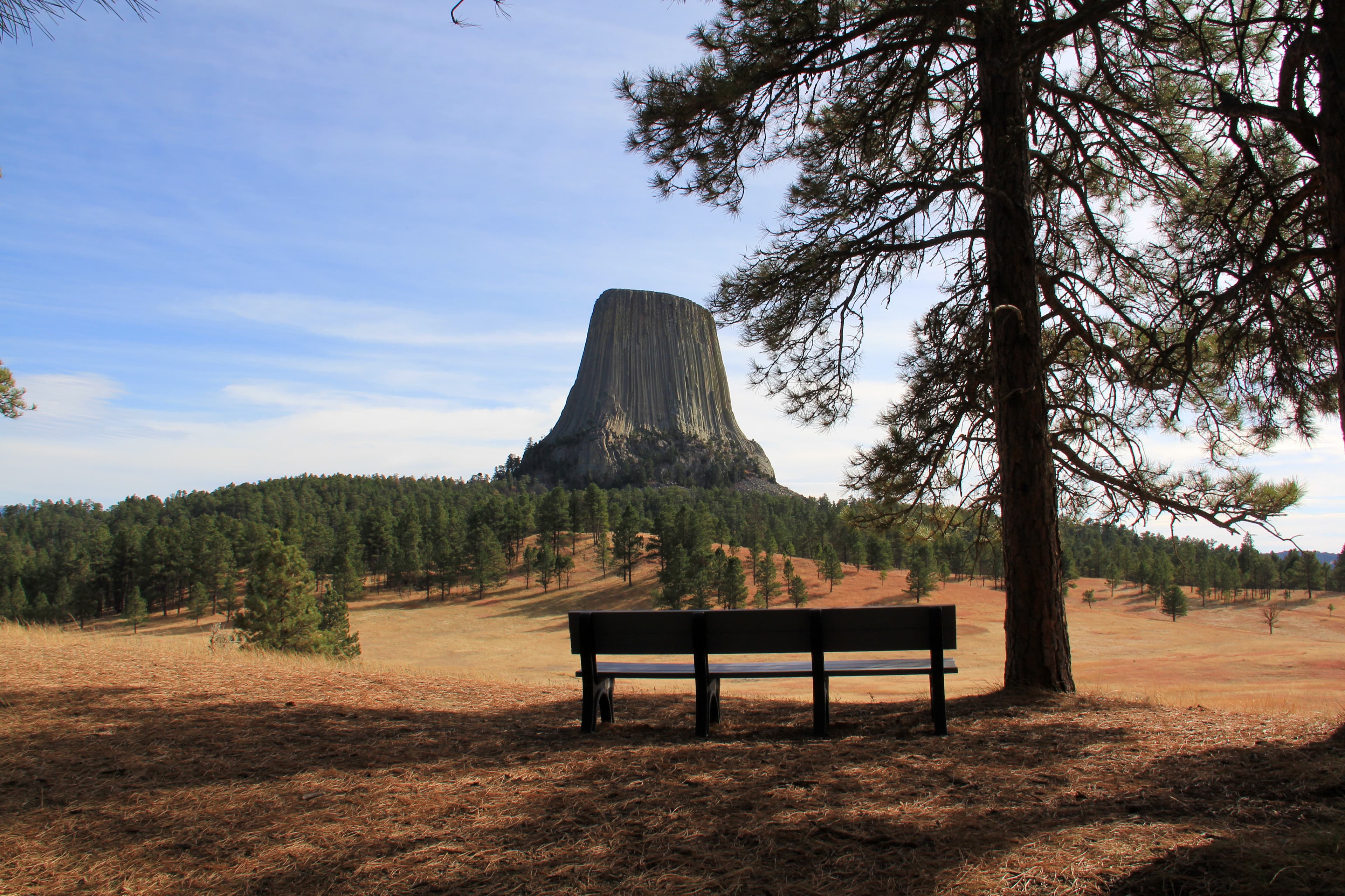 Joyner Ridge