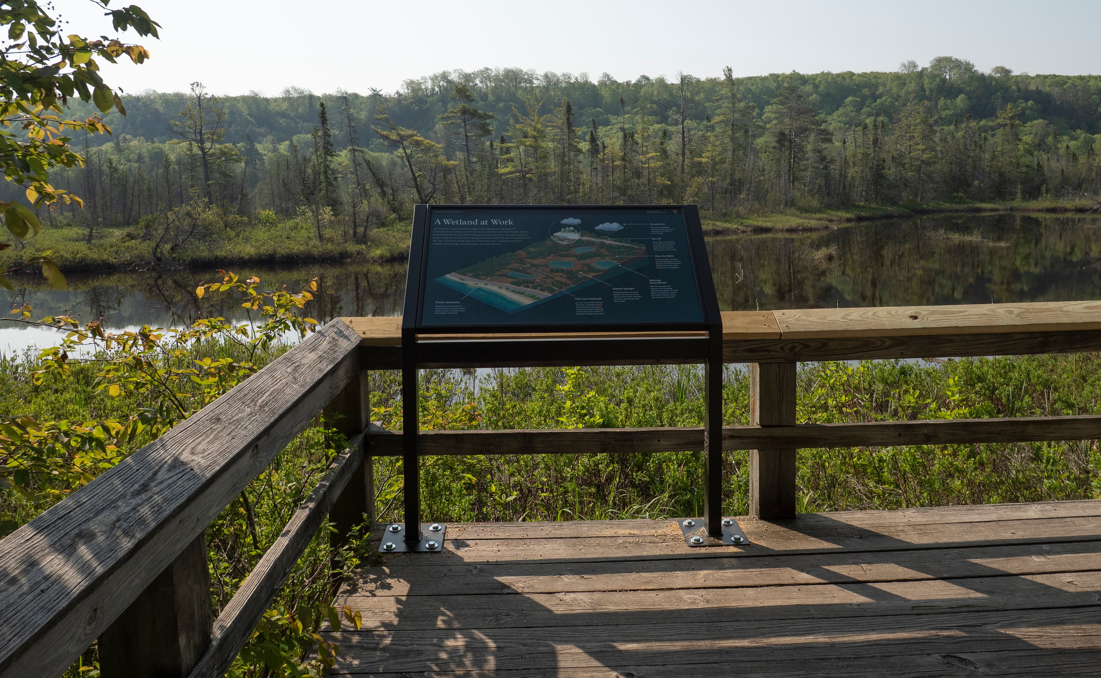 A Wetland at Work Exhibit