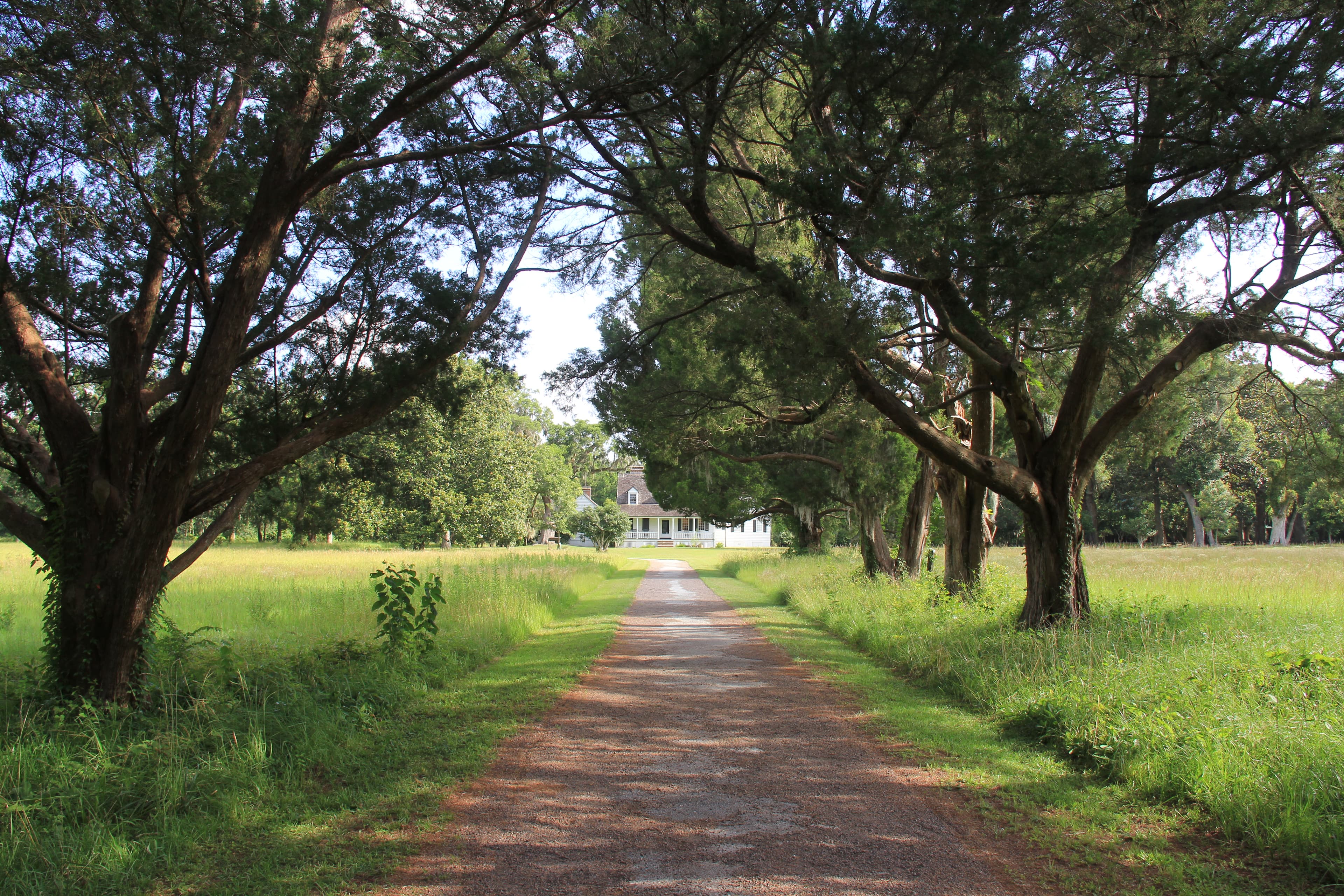 Snee Farm Grand Allée