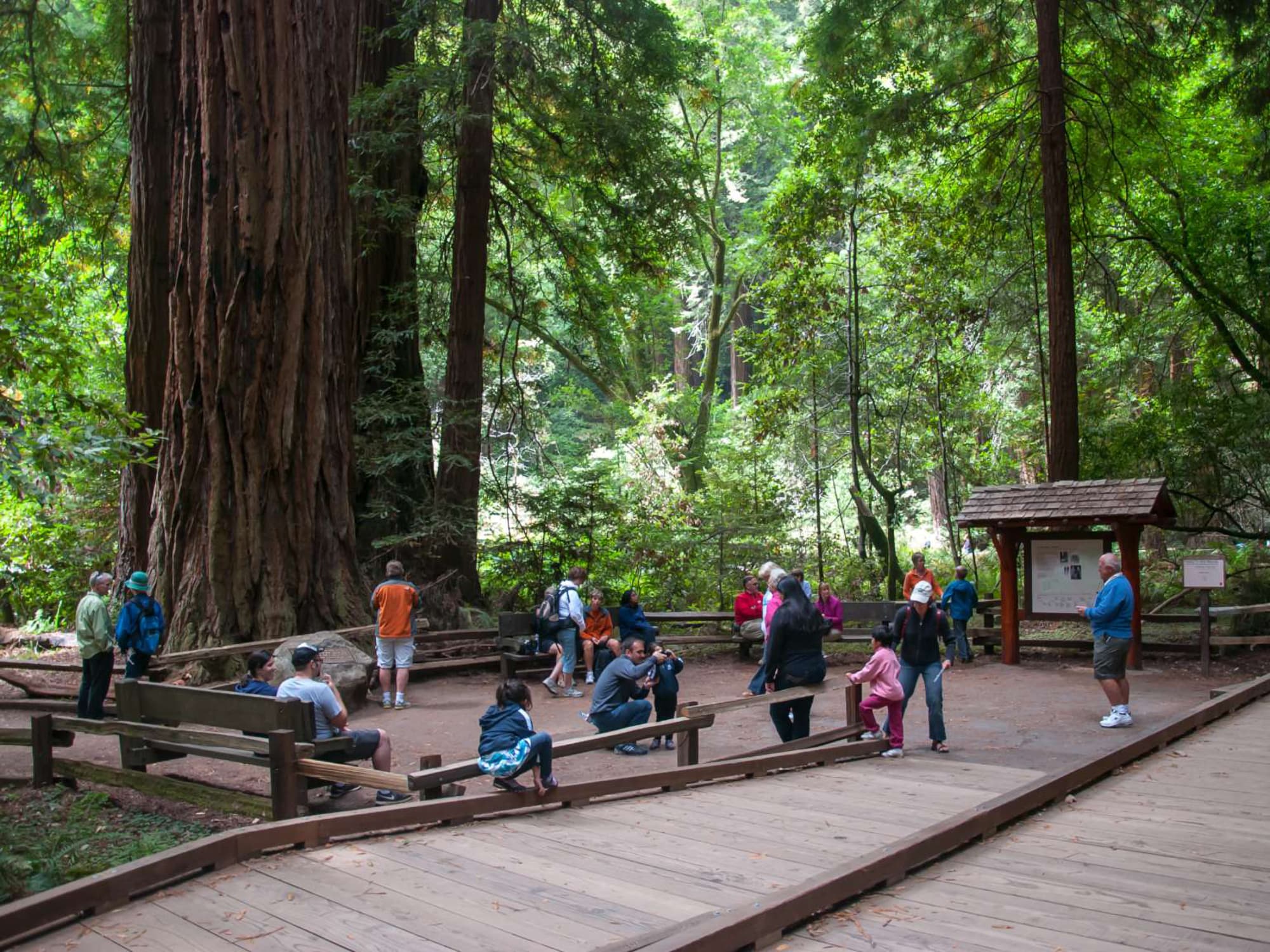 Founders Grove