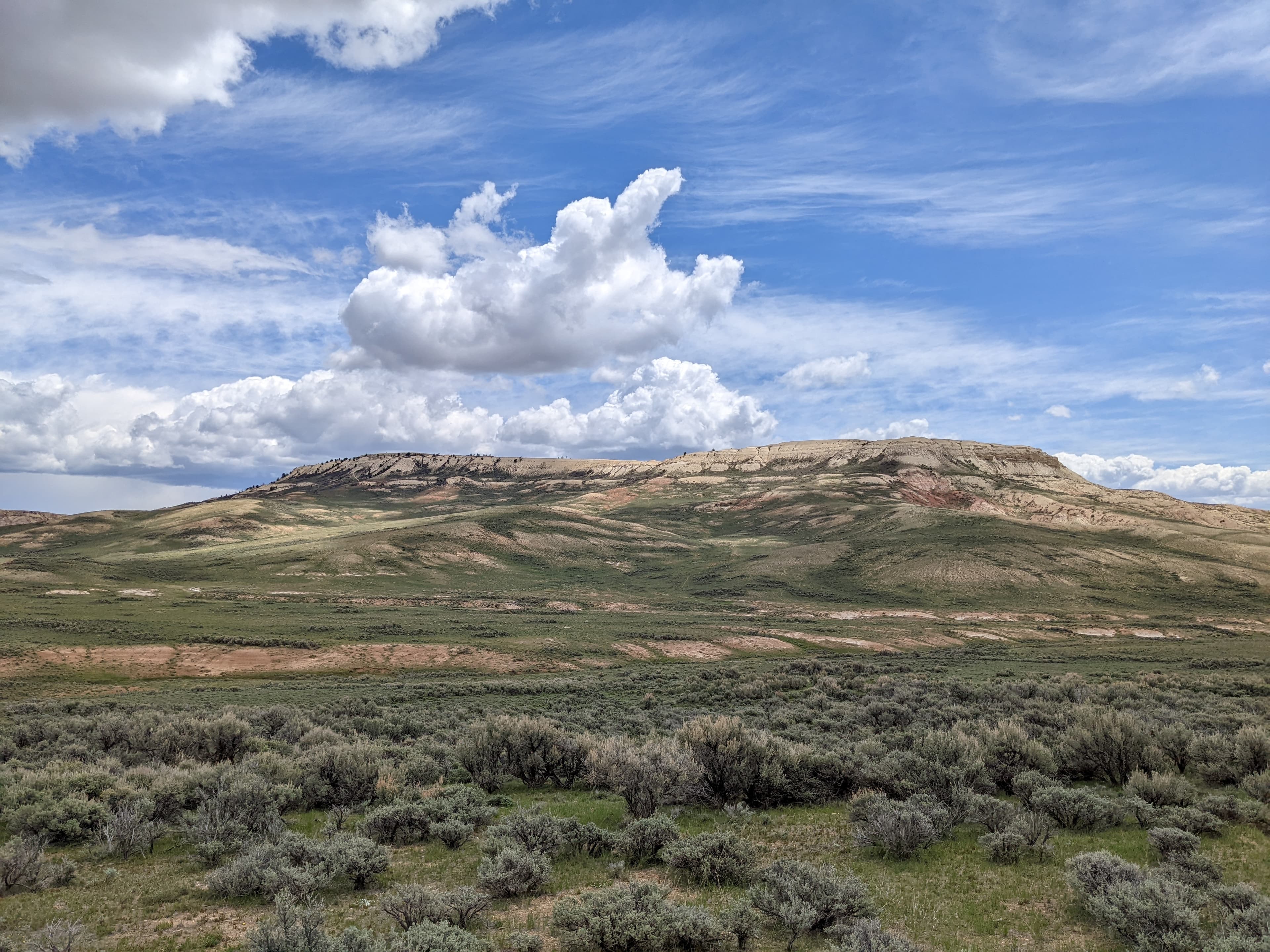 Fossil Butte