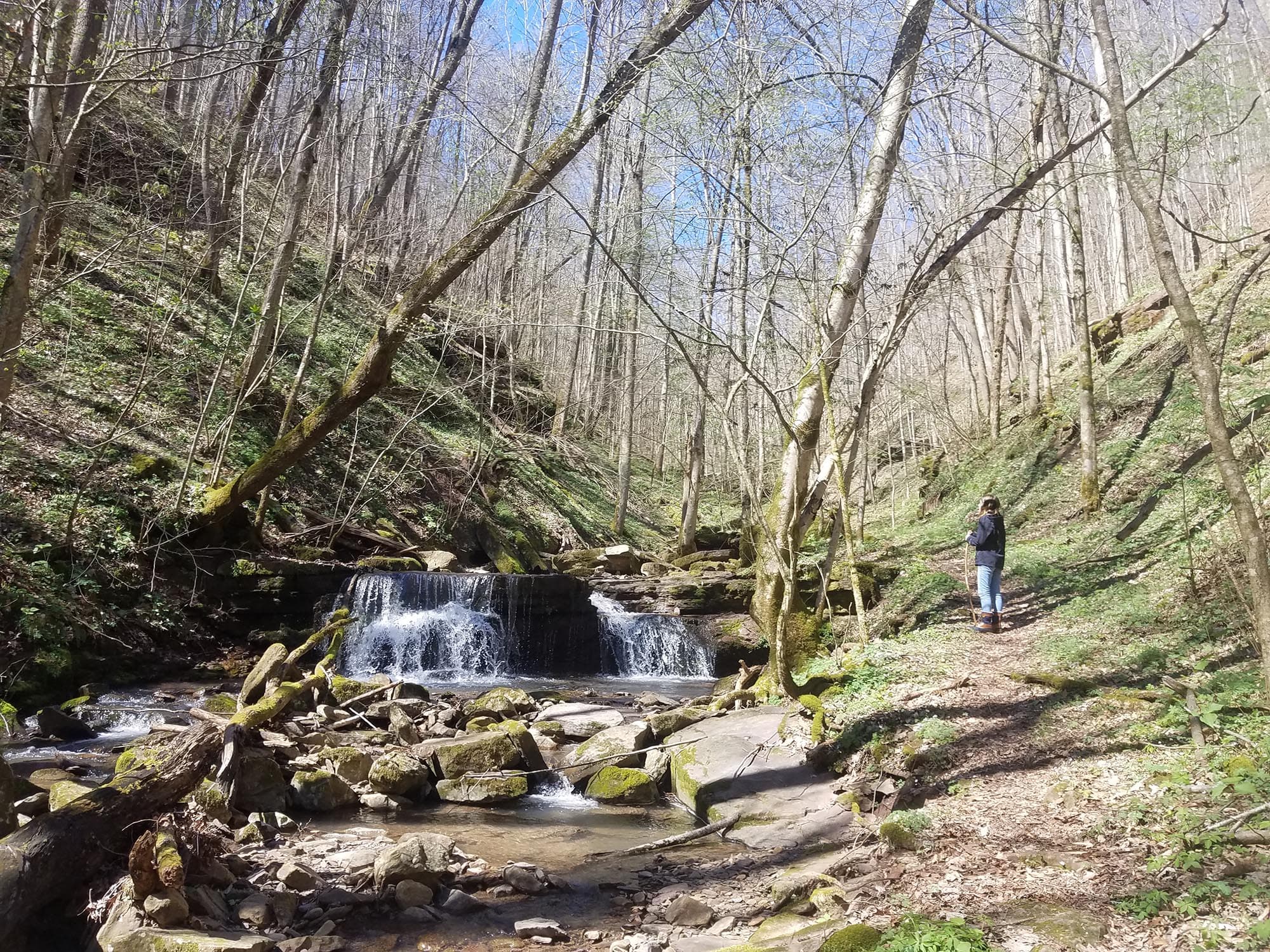 Big Branch Trail