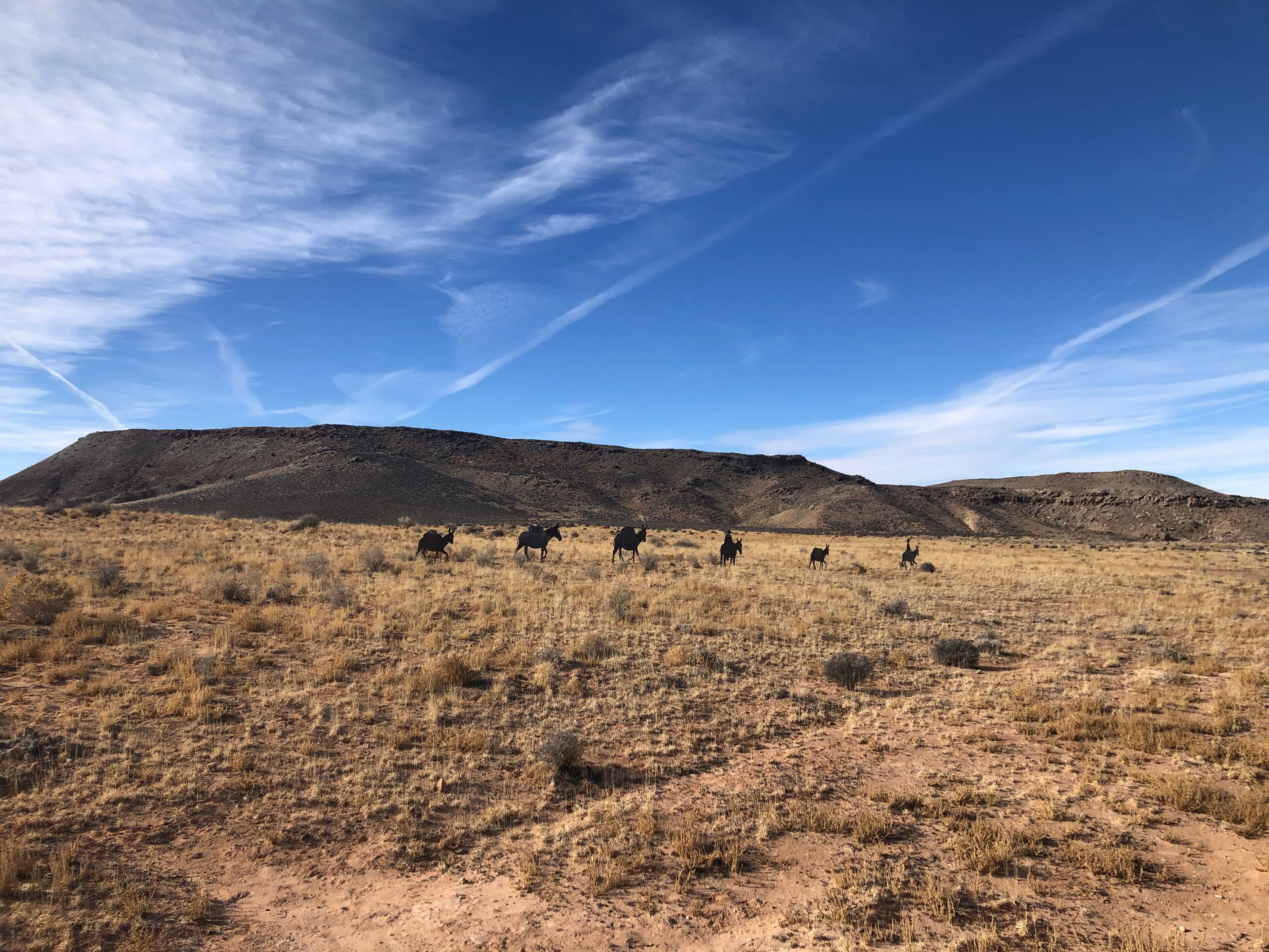 Courthouse Rock Campsite