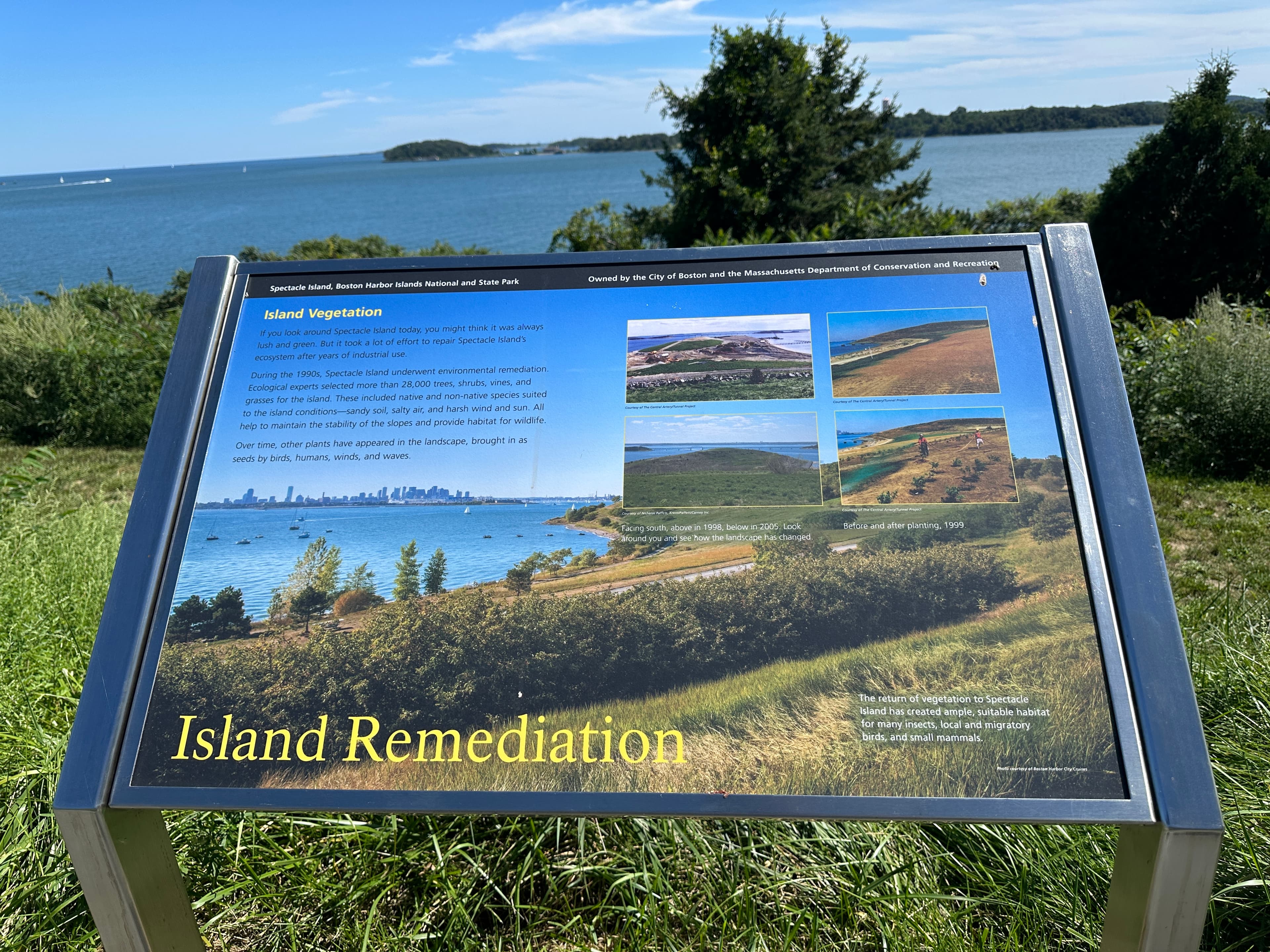 "Island Remediation" Sign