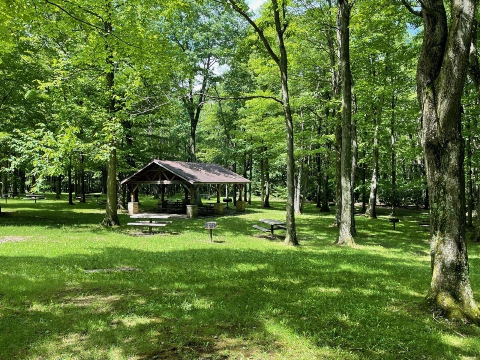 Allegheny Portage Railroad Picnic Area