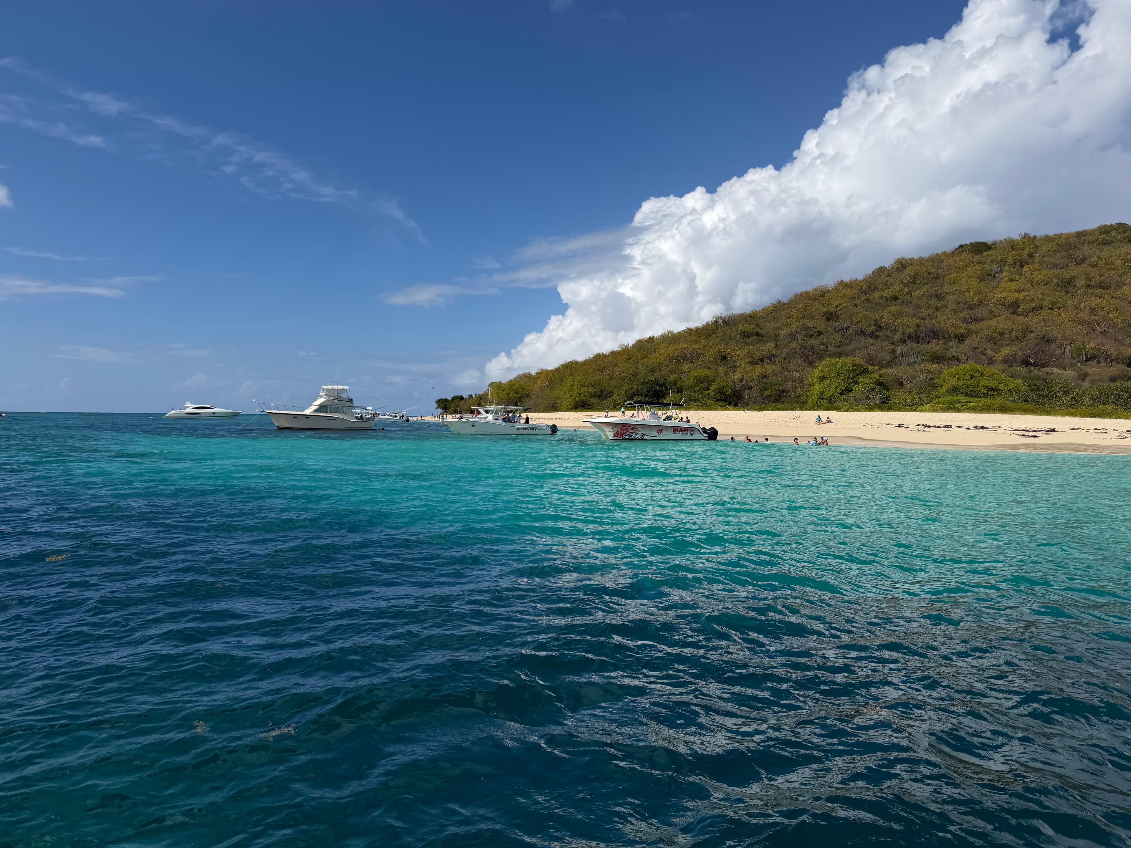 Buck Island West Beach
