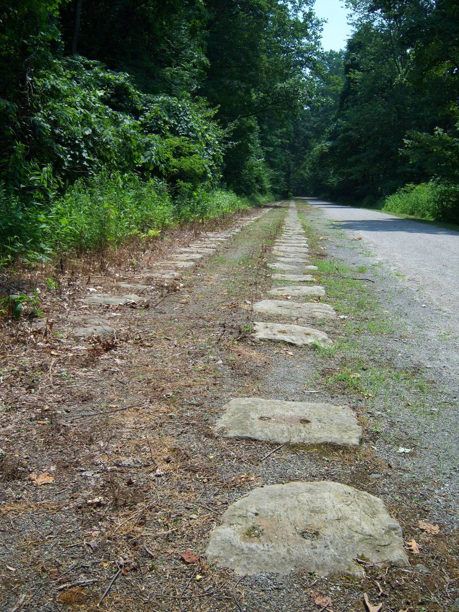 Staple Bend Tunnel Trail, Stone Sleepers