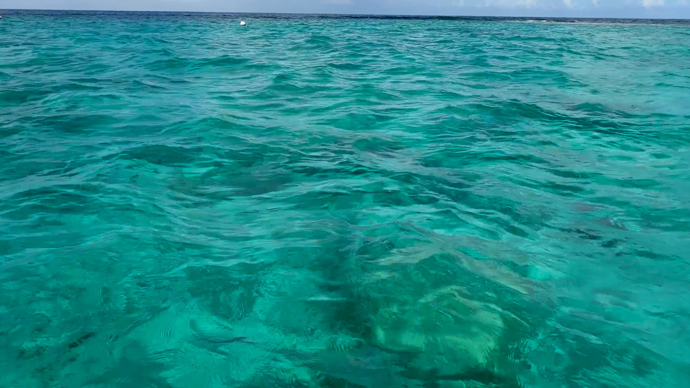 Buck Island Underwater Trail