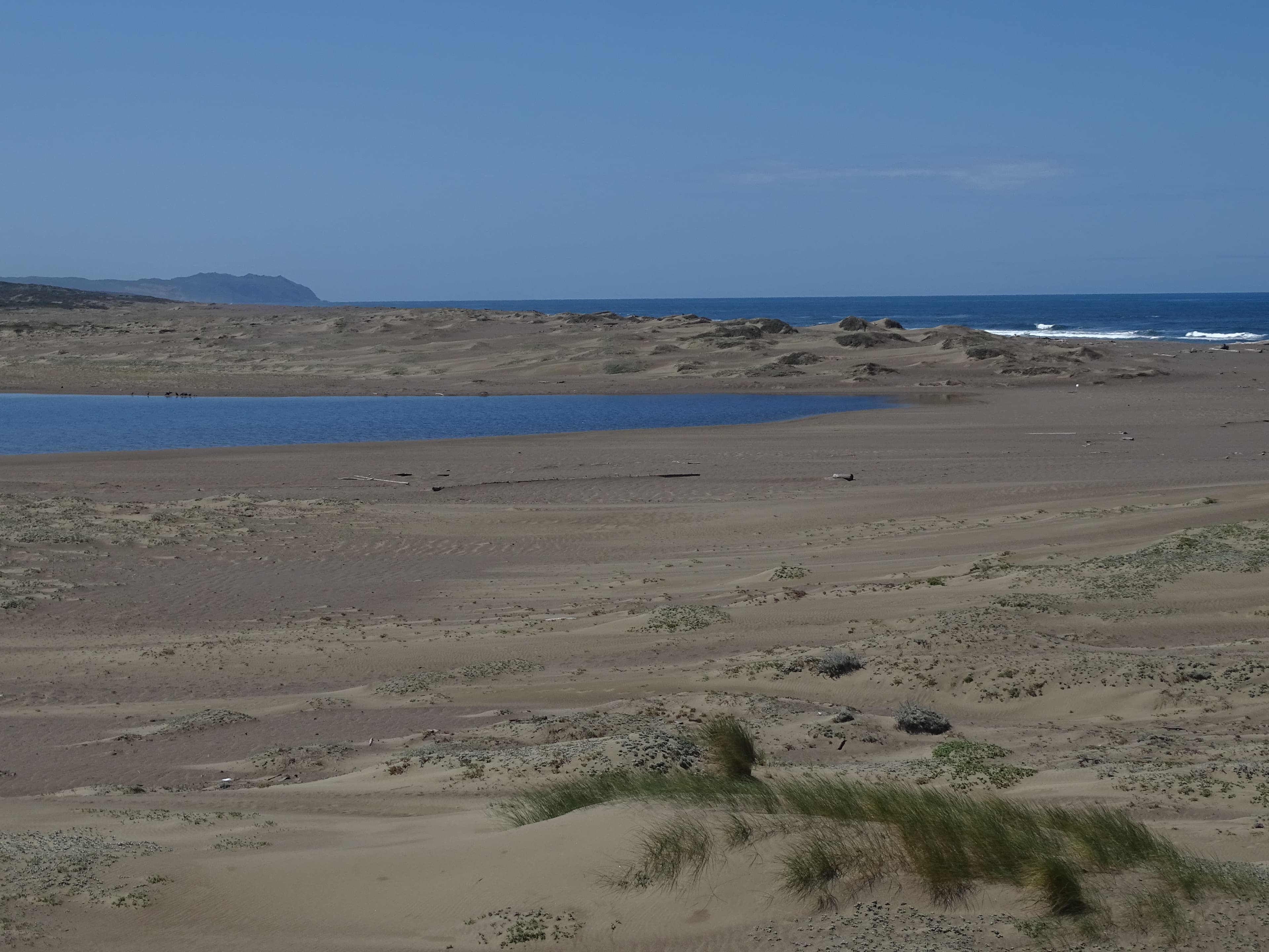 Abbotts Lagoon Beach