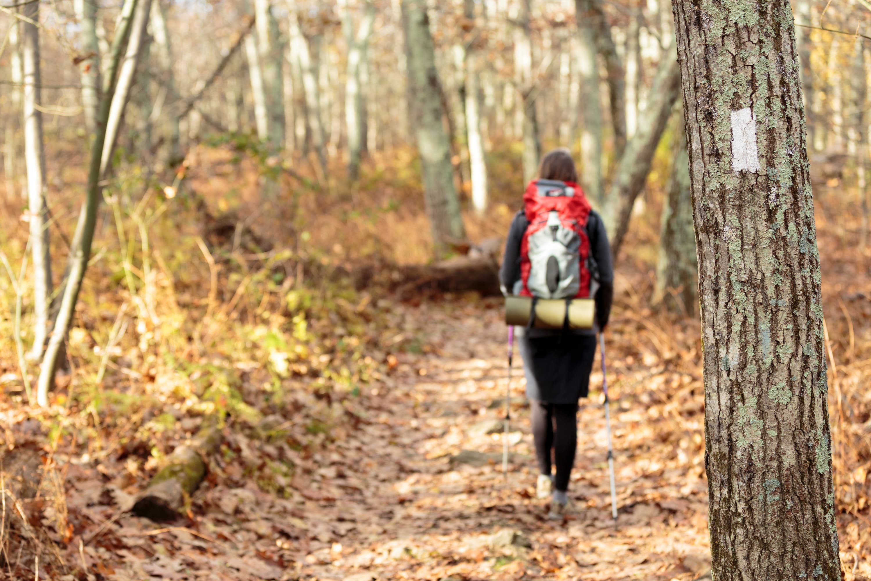 Appalachian Trail - Tanners Ridge Road Trailhead