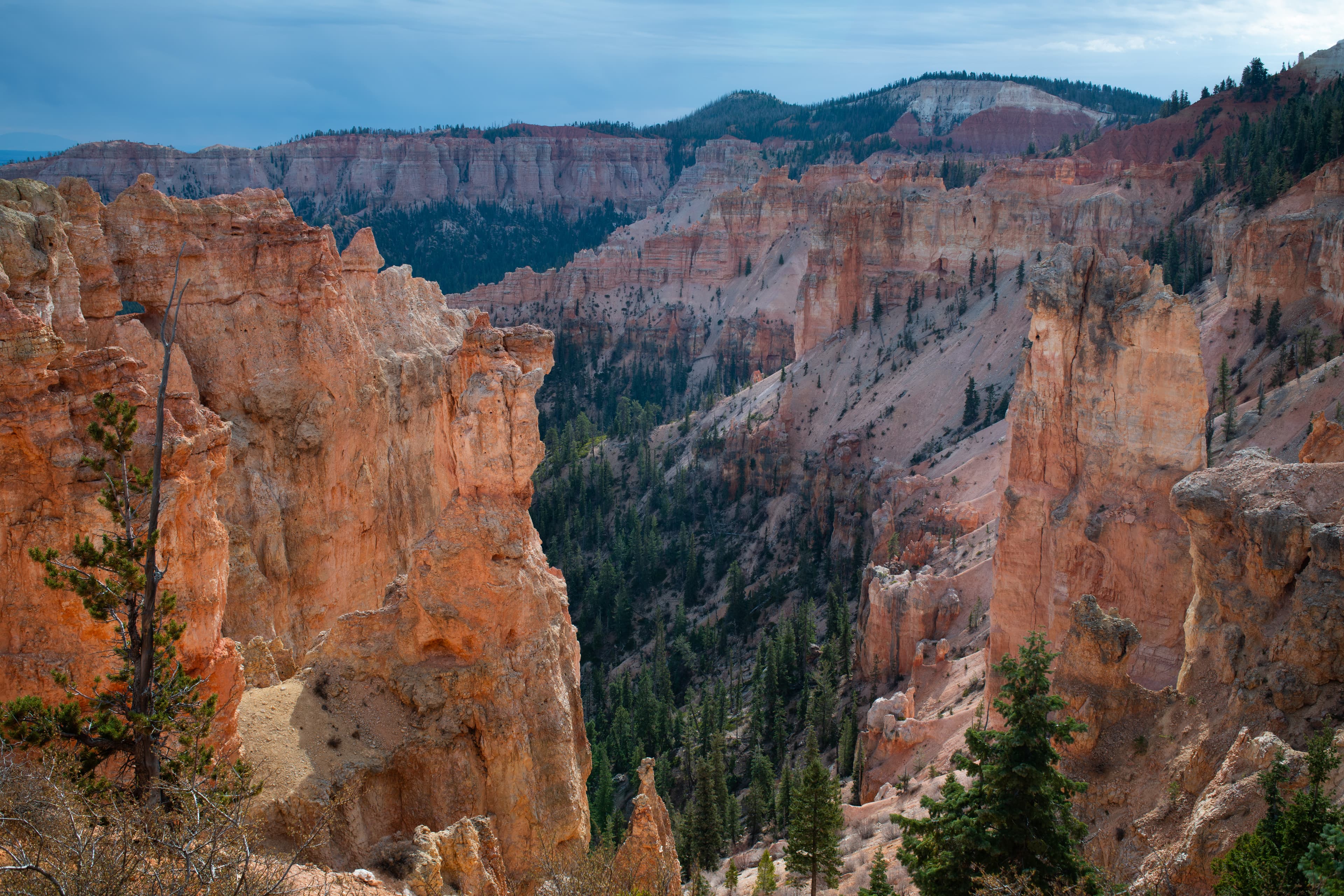 Black Birch Canyon