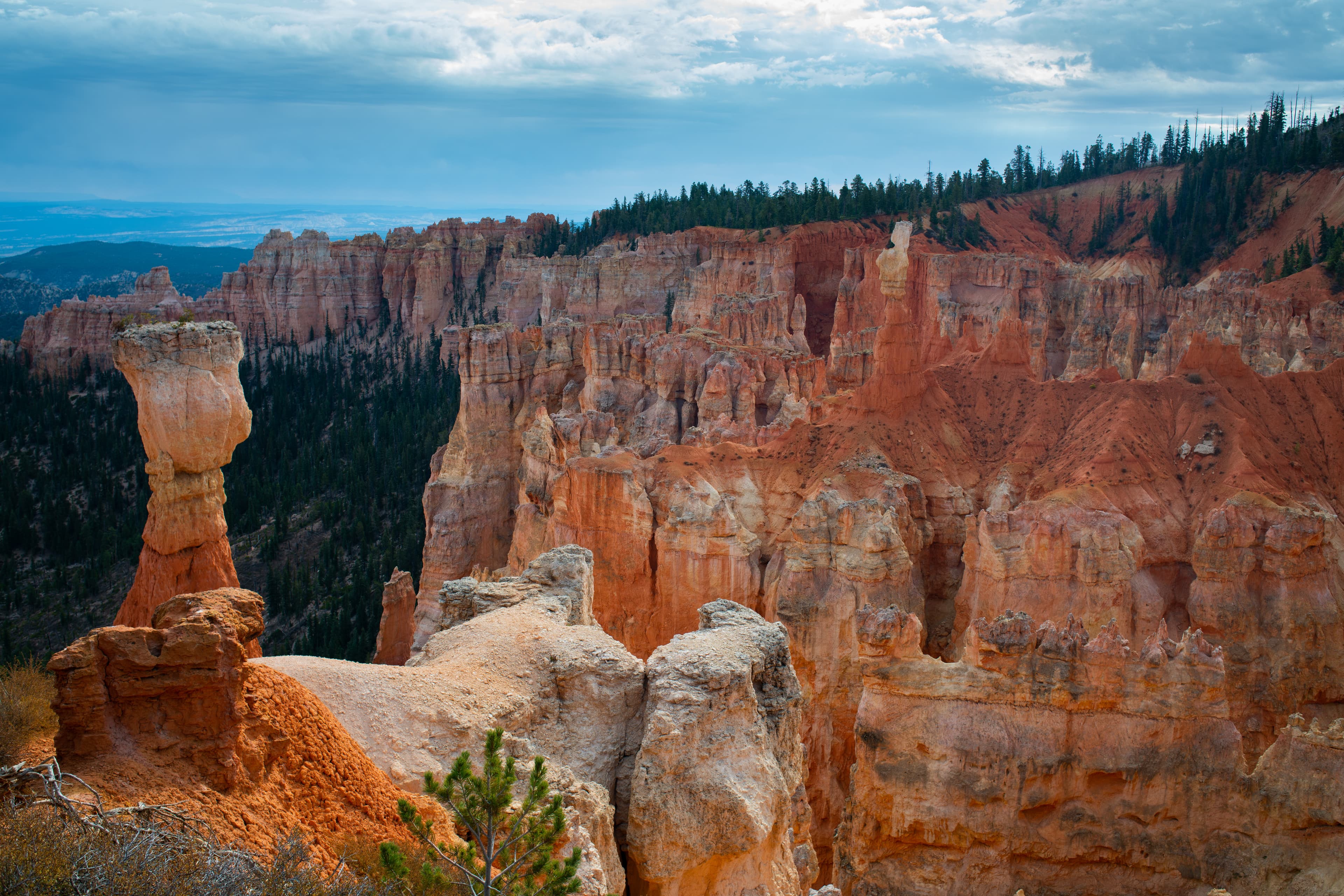 Agua Canyon