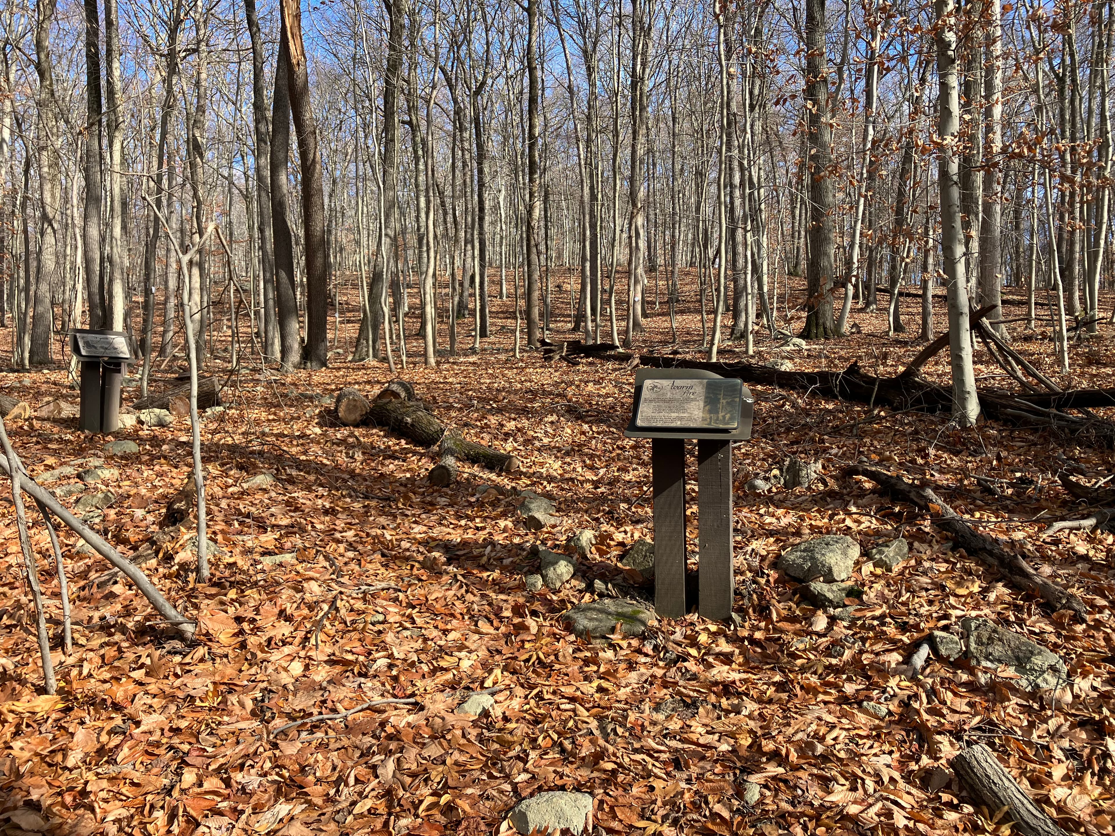New Jersey Brigade - Hut Ruins
