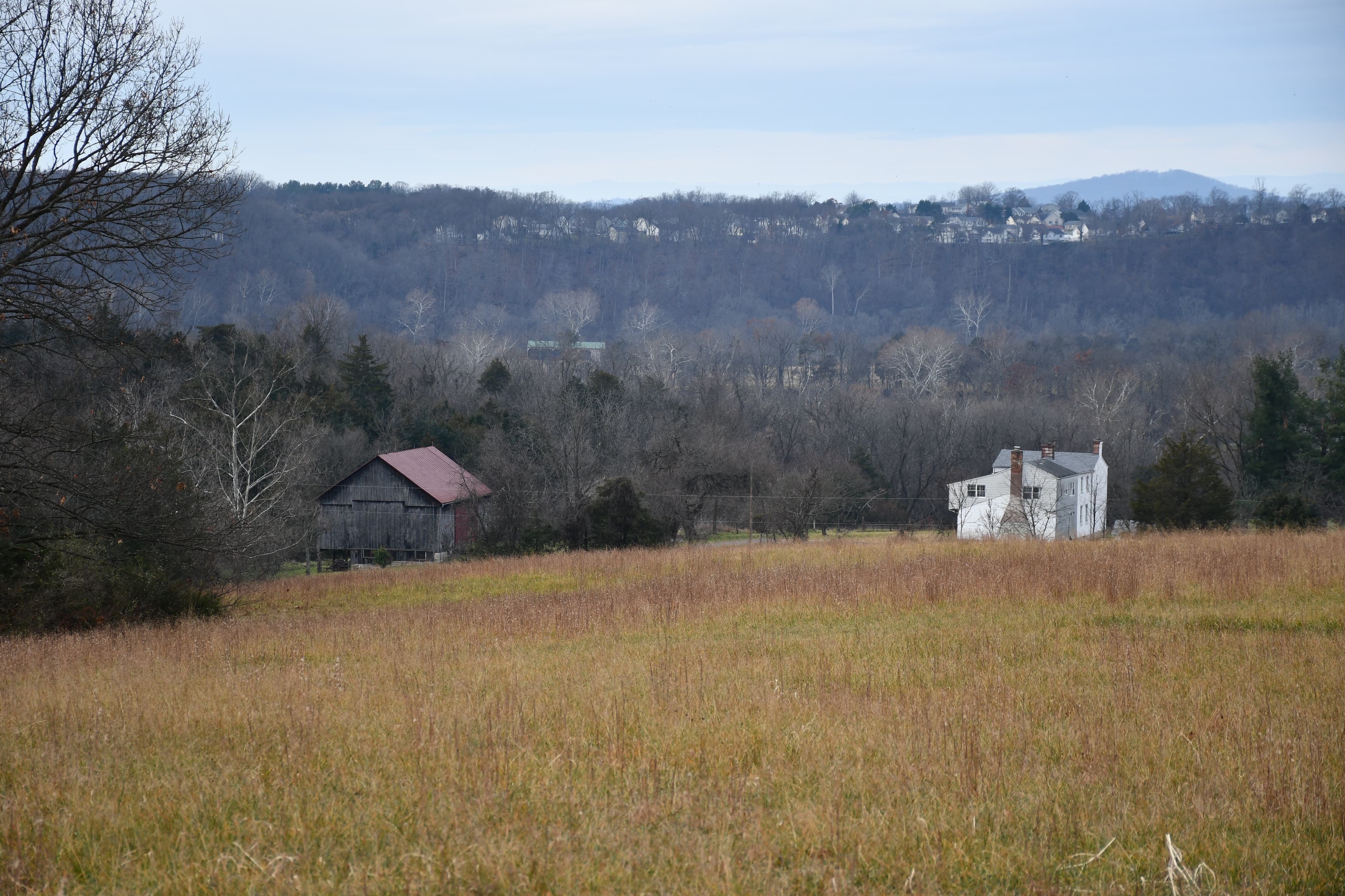 Bowman-Hite Farm